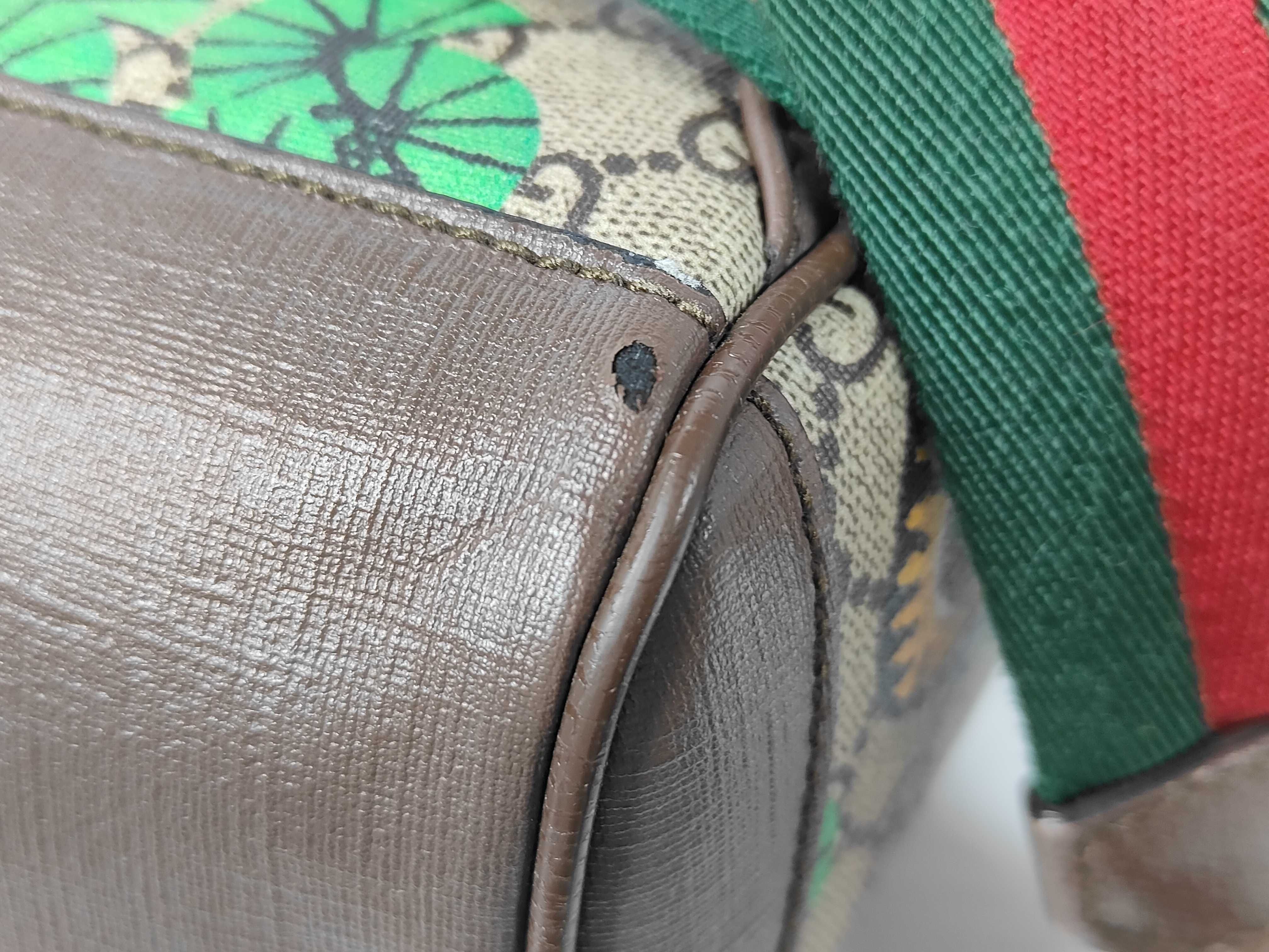 GG Supreme Woody Brown x Multicolor Backpack — view 8