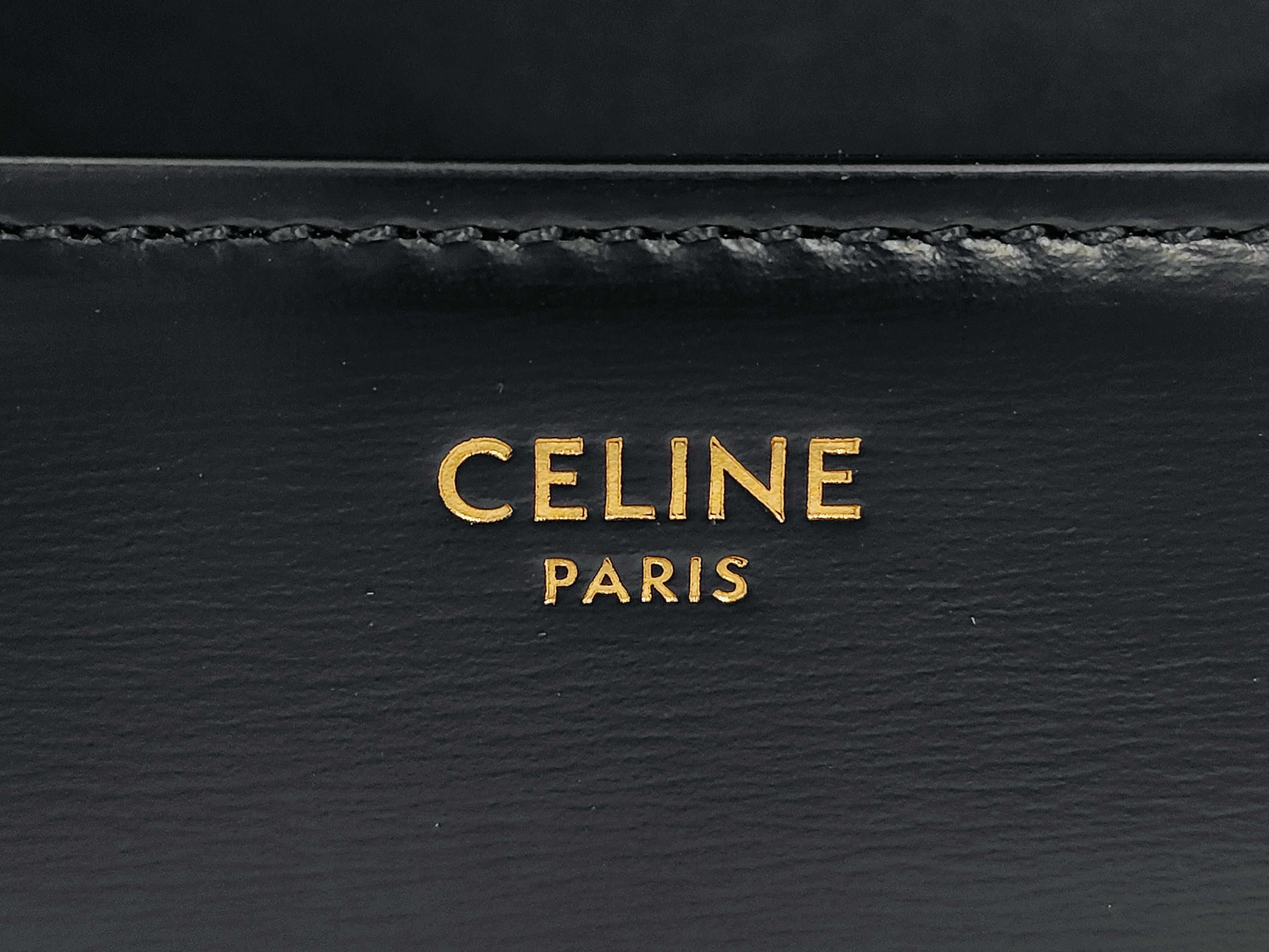 Triomphe Black Calfskin Leather Shoulder Bag with Gold Hardware and Leather Strap — view 9
