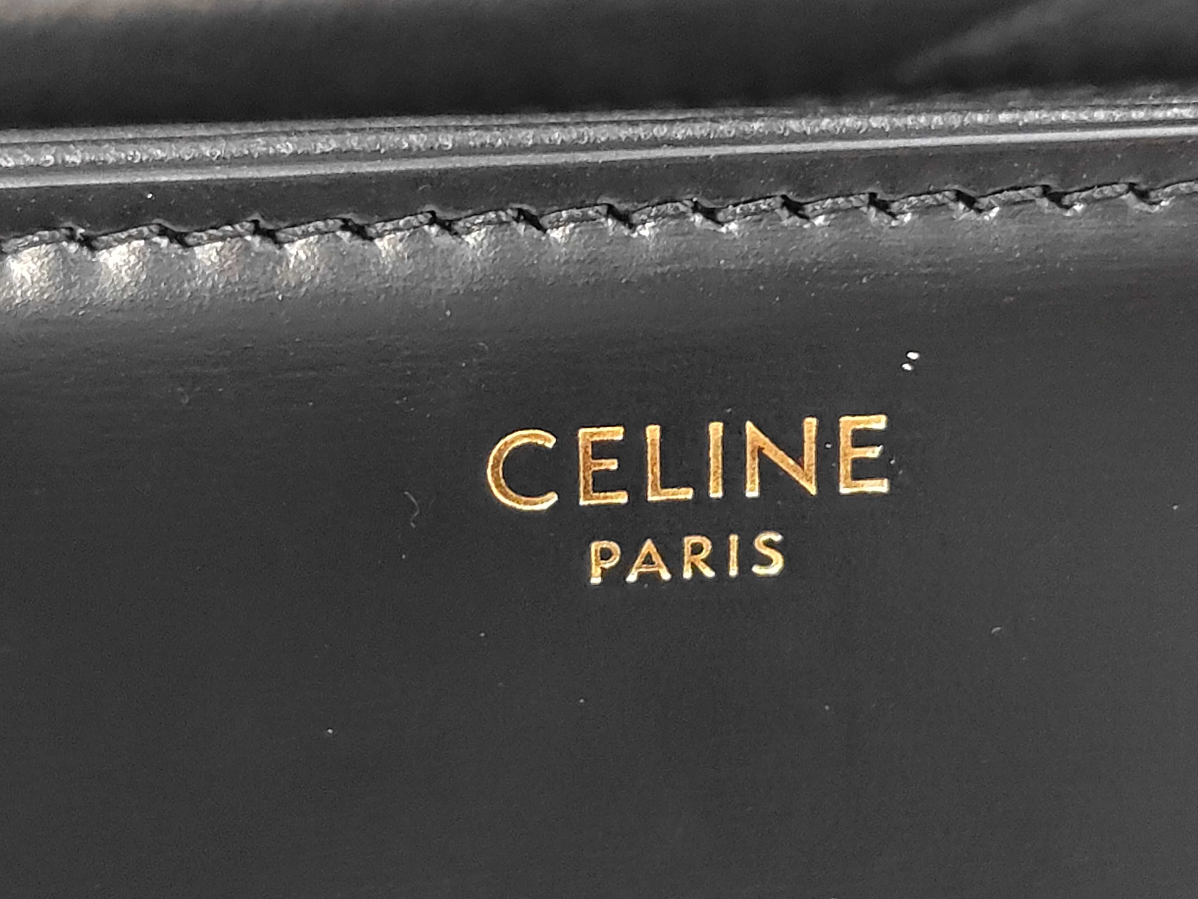 Triomphe Medium Shoulder Bag — view 9