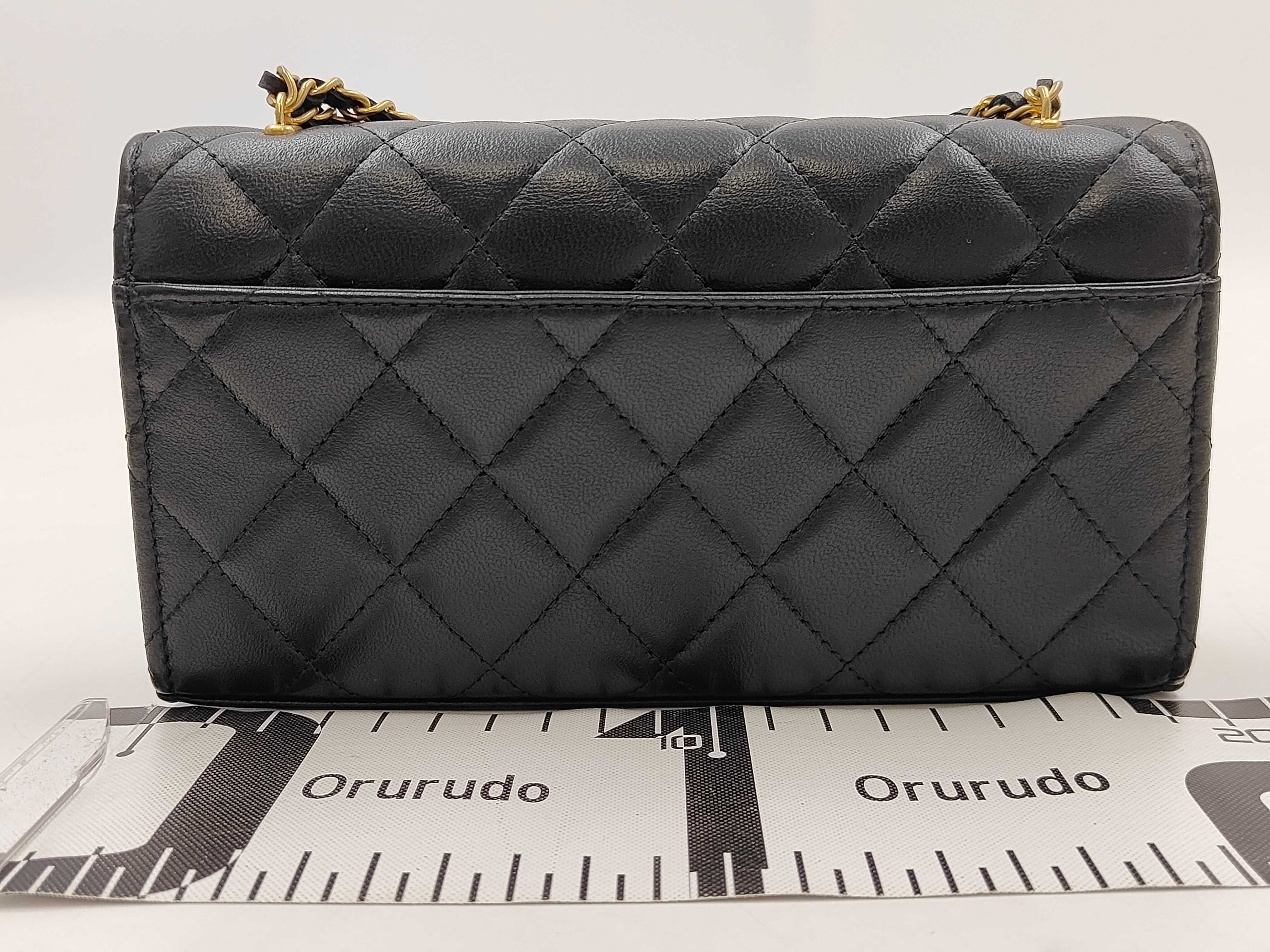 Matelassé Coco Mark Lion Motif Chain Shoulder Bag — view 2