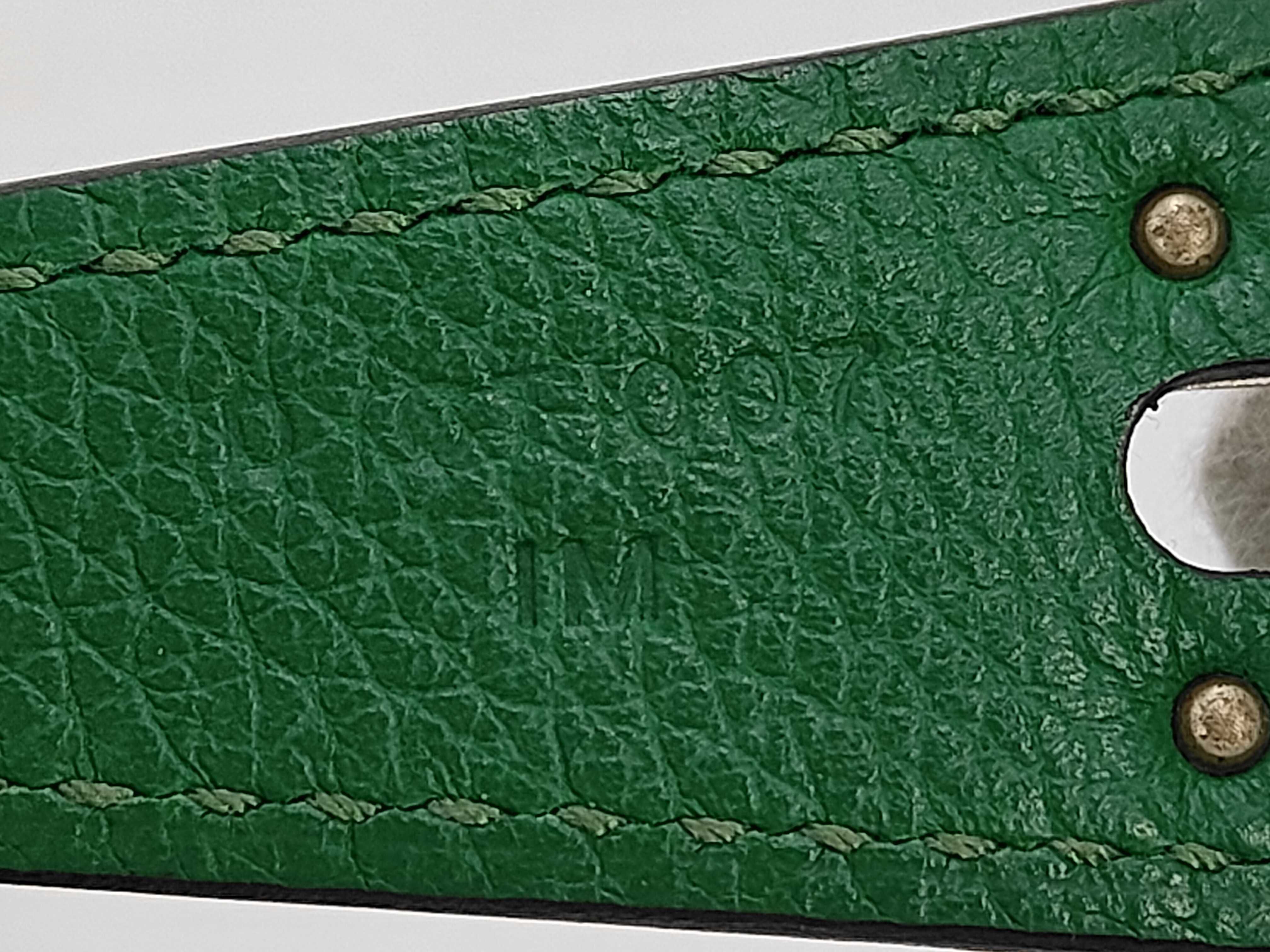 BAG LINDY 26 CLEMENCE D STAMP GREEN/VEAU EVERCOLOR CACTUS Handbag — view 10