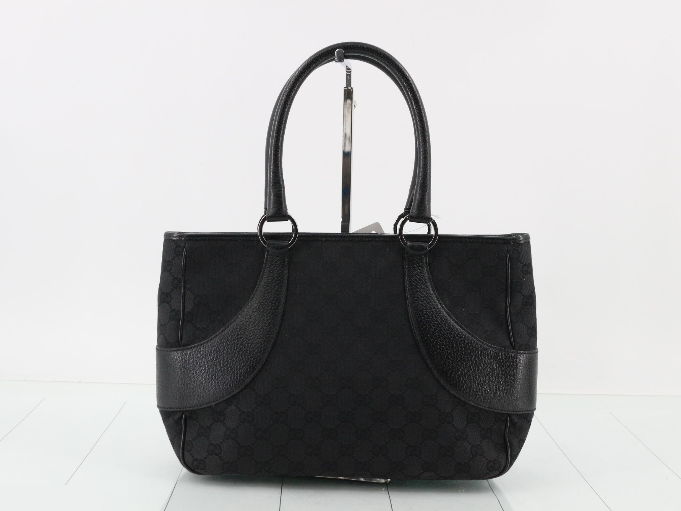 GG canvas (bag)/handbag