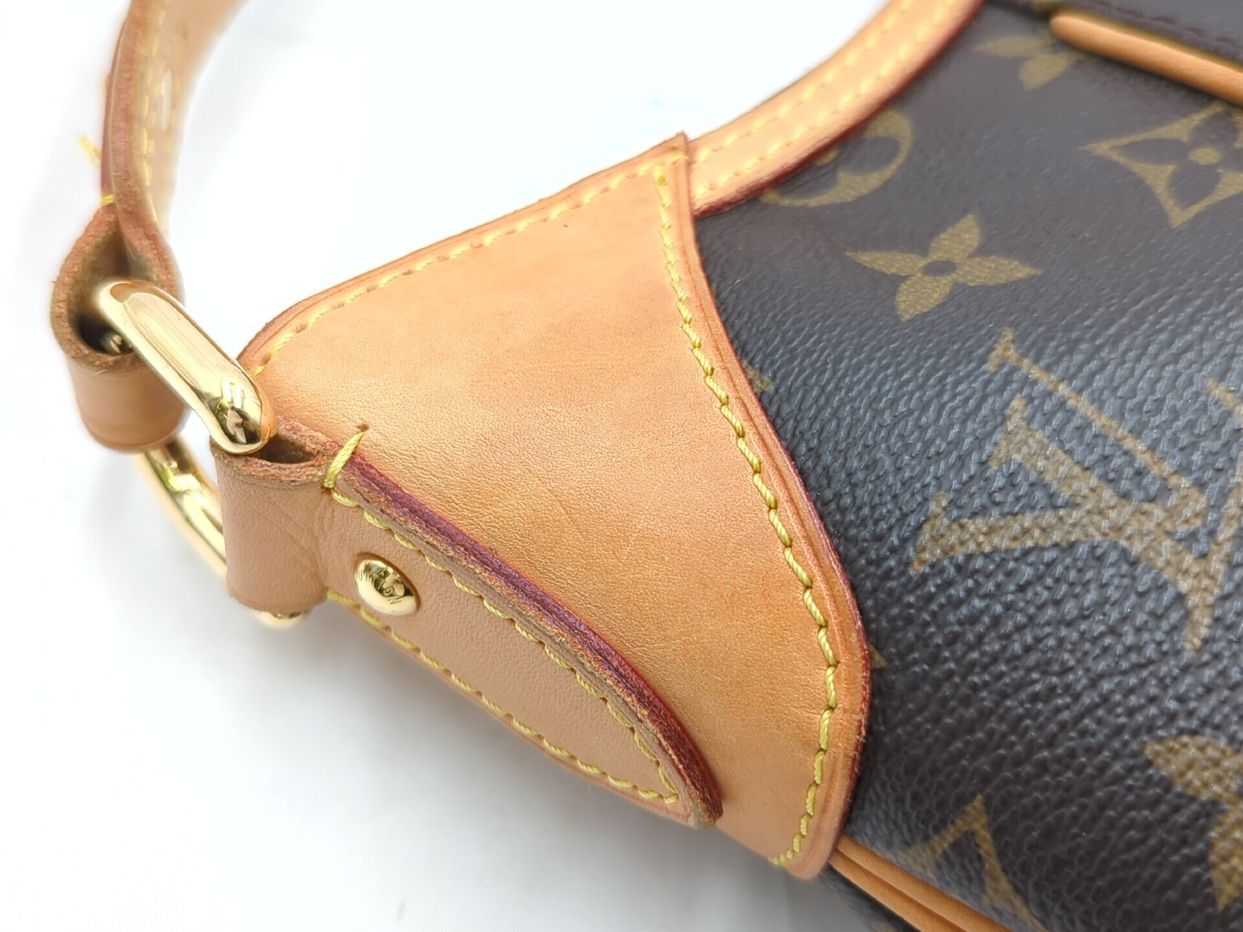 M56384 Monogram Thames PM Shoulder Bag — view 14