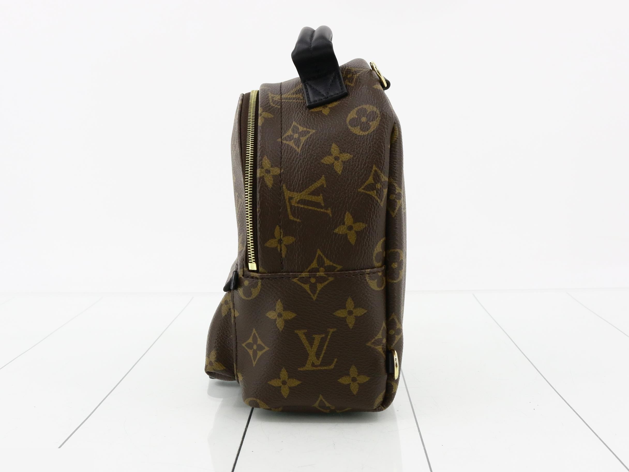 Palm Springs Backpack MINI, Retail Price ¥407,000, Unused — view 3