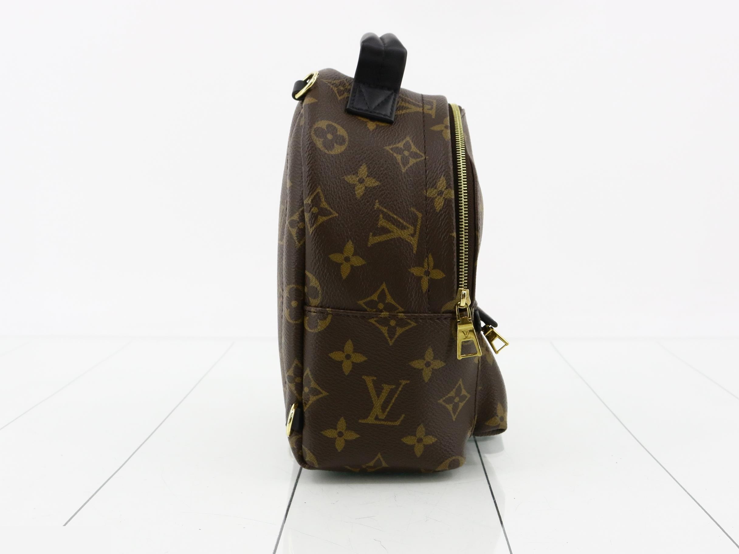 Palm Springs Backpack MINI, Retail Price ¥407,000, Unused — view 4