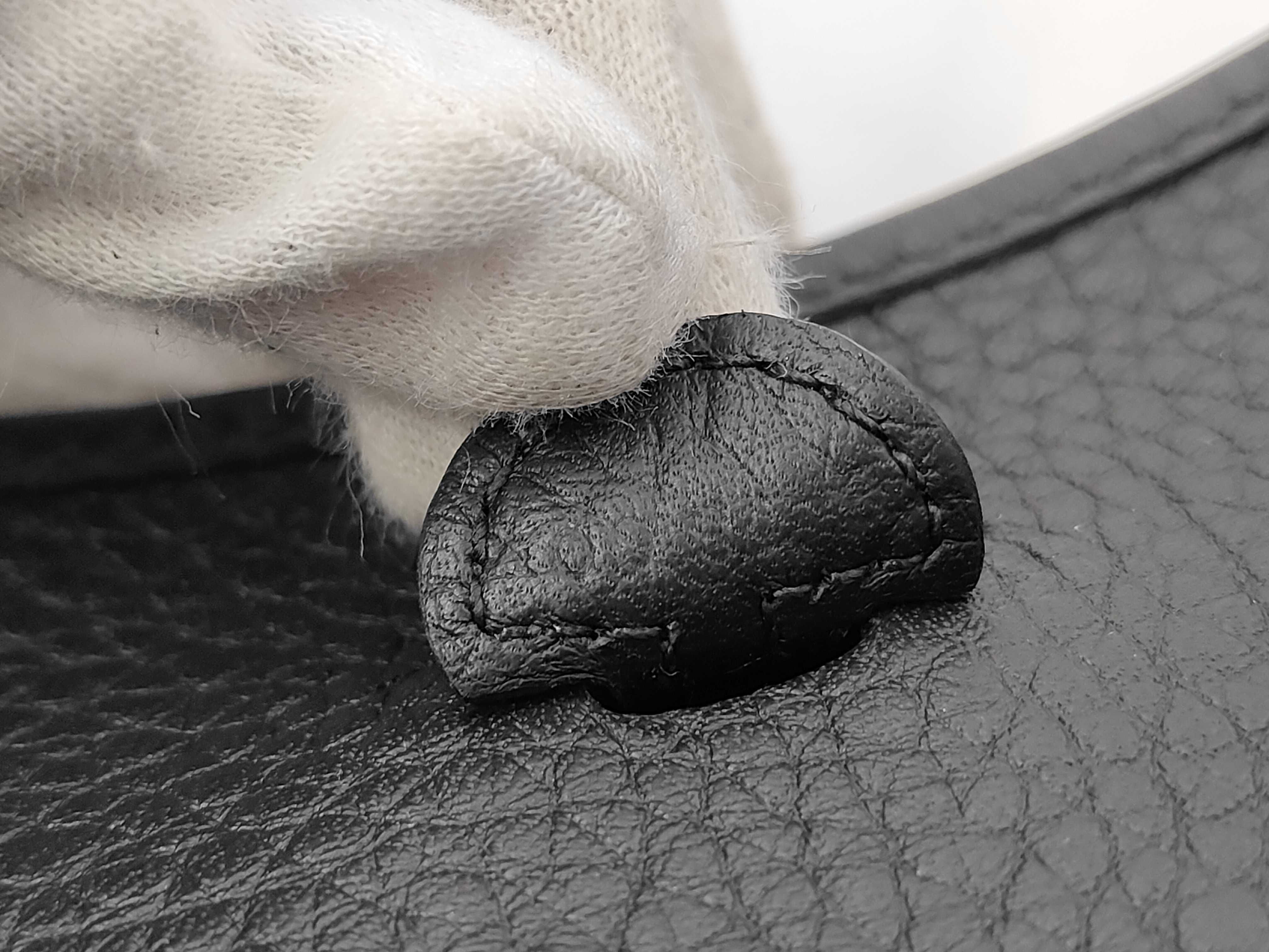 Evelyne TPM Shoulder Bag — view 6
