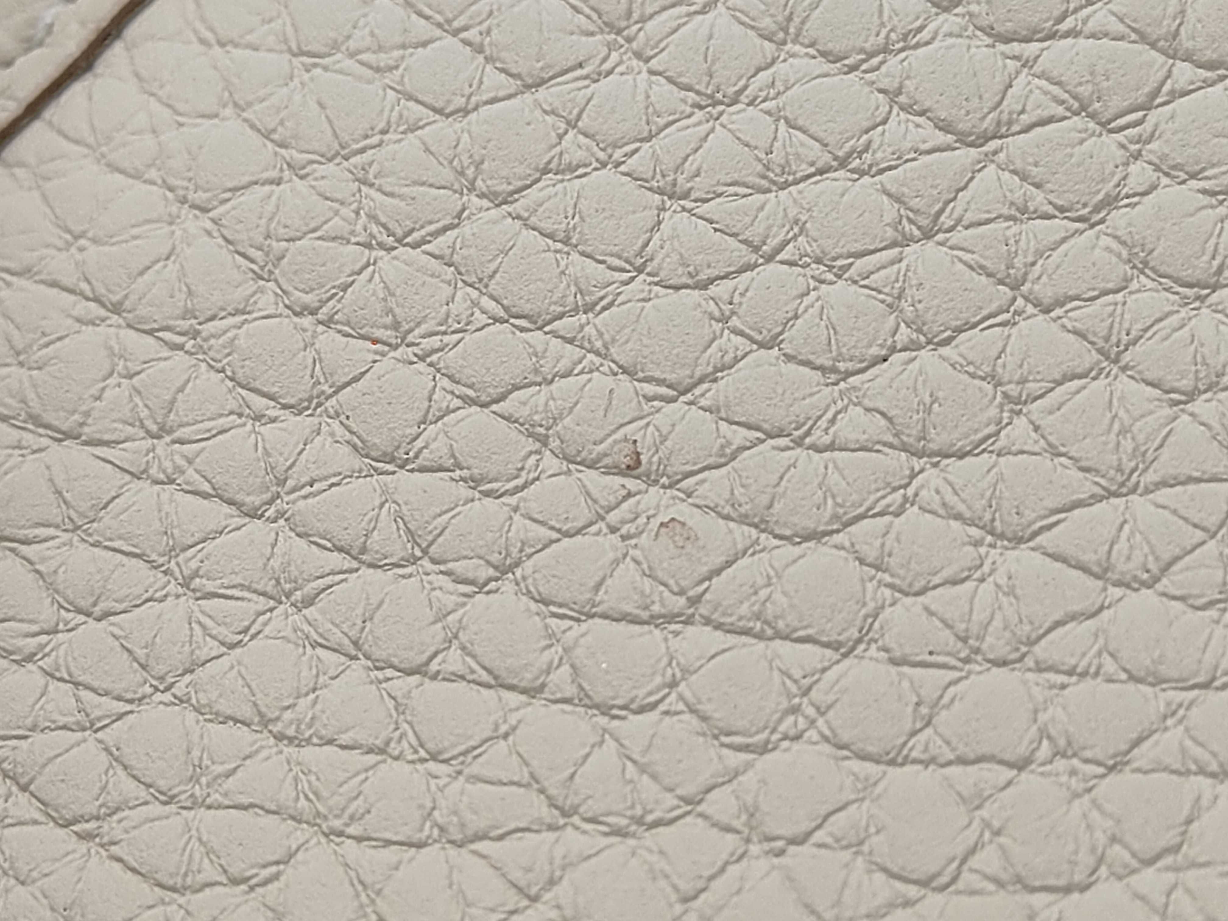 Evelyne Amazone 16 G stamp Silver hardware Cream shoulder bag — view 9