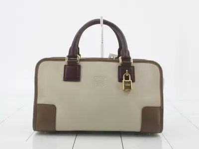 Amazona 28 Handbag, Bicolor