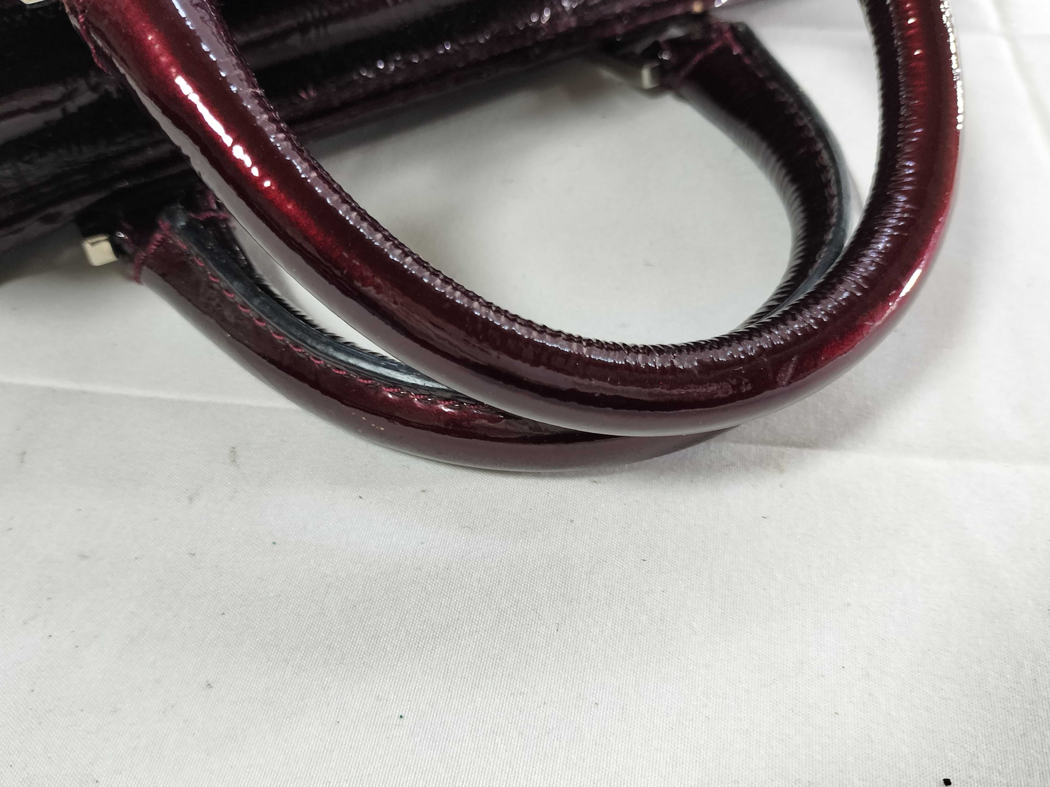 Amazona Enamel Tote Bag — view 4