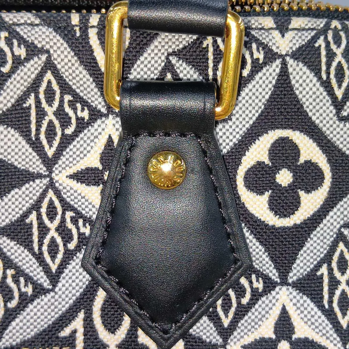 Since 1854 Speedy Bandoulière 25 M45769 Black (RFID detected) — view 13