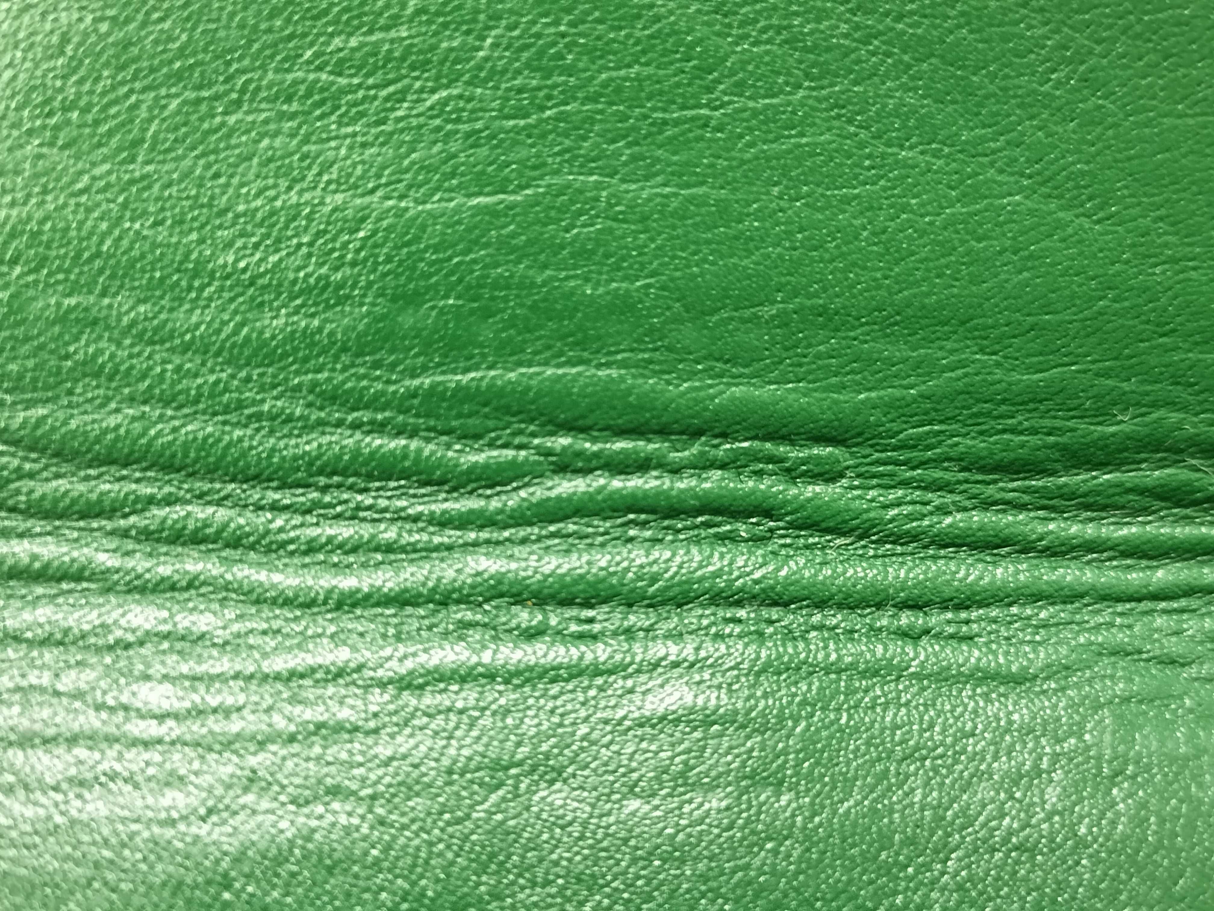 Saint Louis PM PVC x Leather Tote Bag, Green Tote Bag — view 10