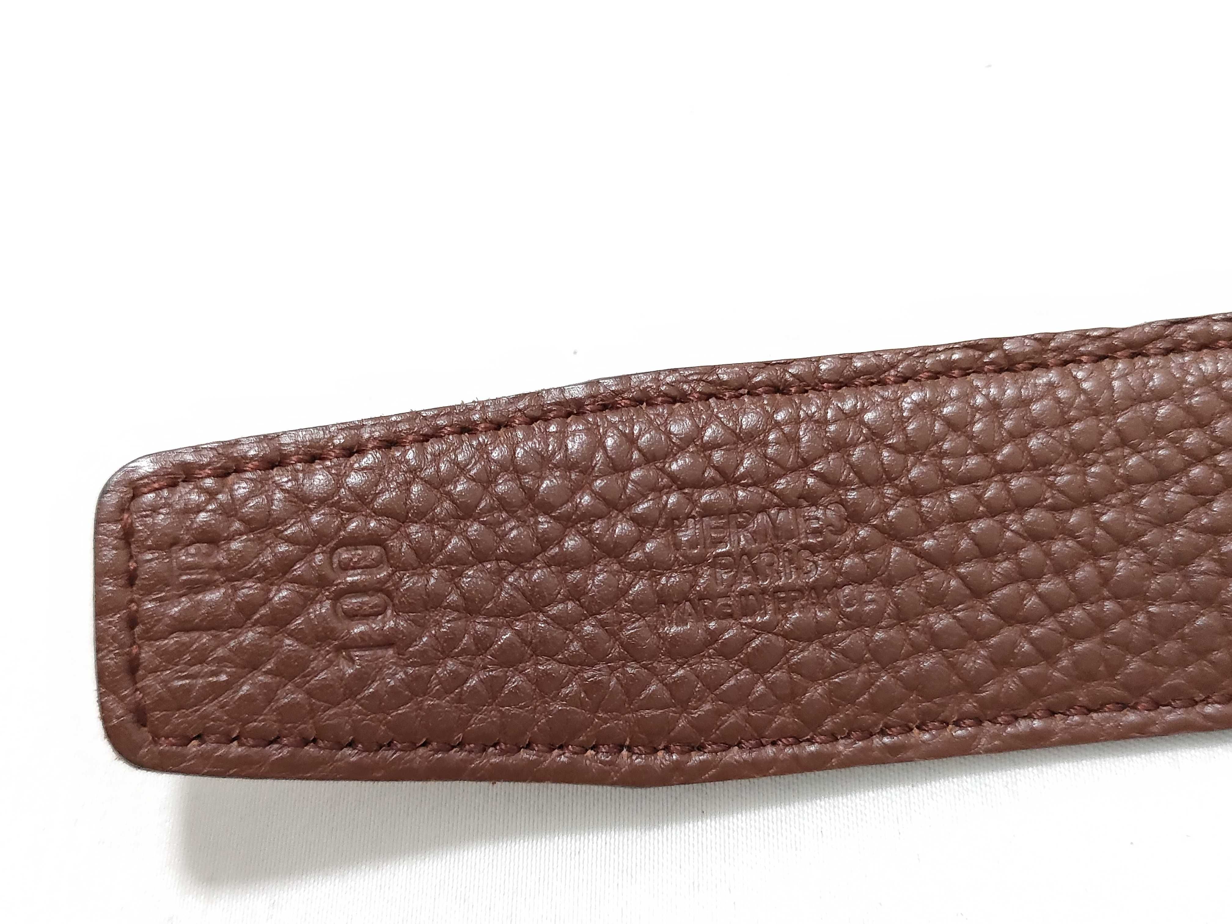 Constance SV Belt — view 5
