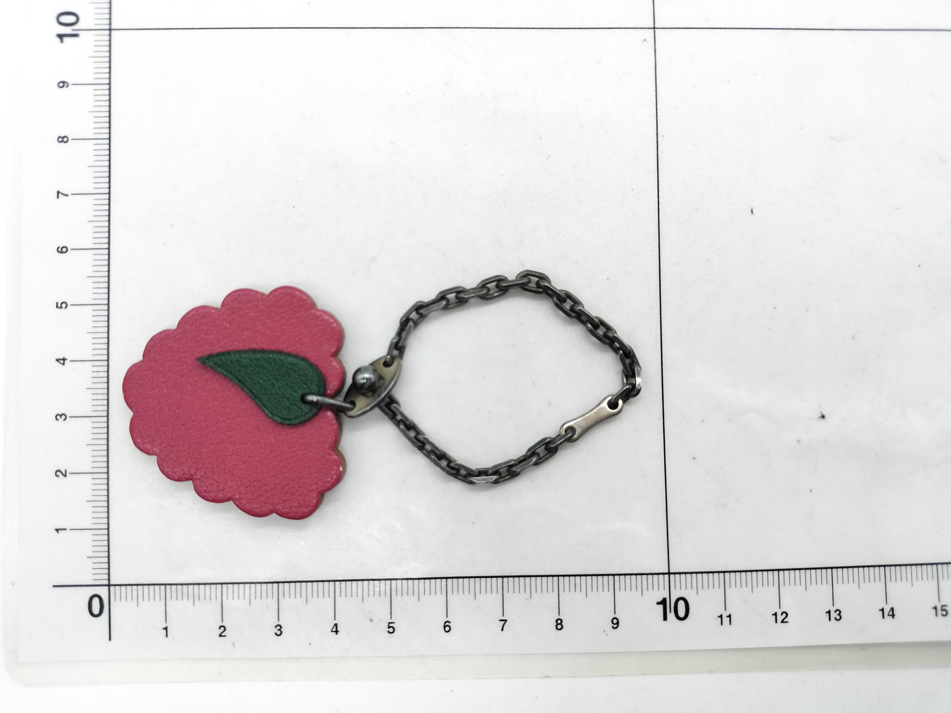 Raspberry Charm — view 6