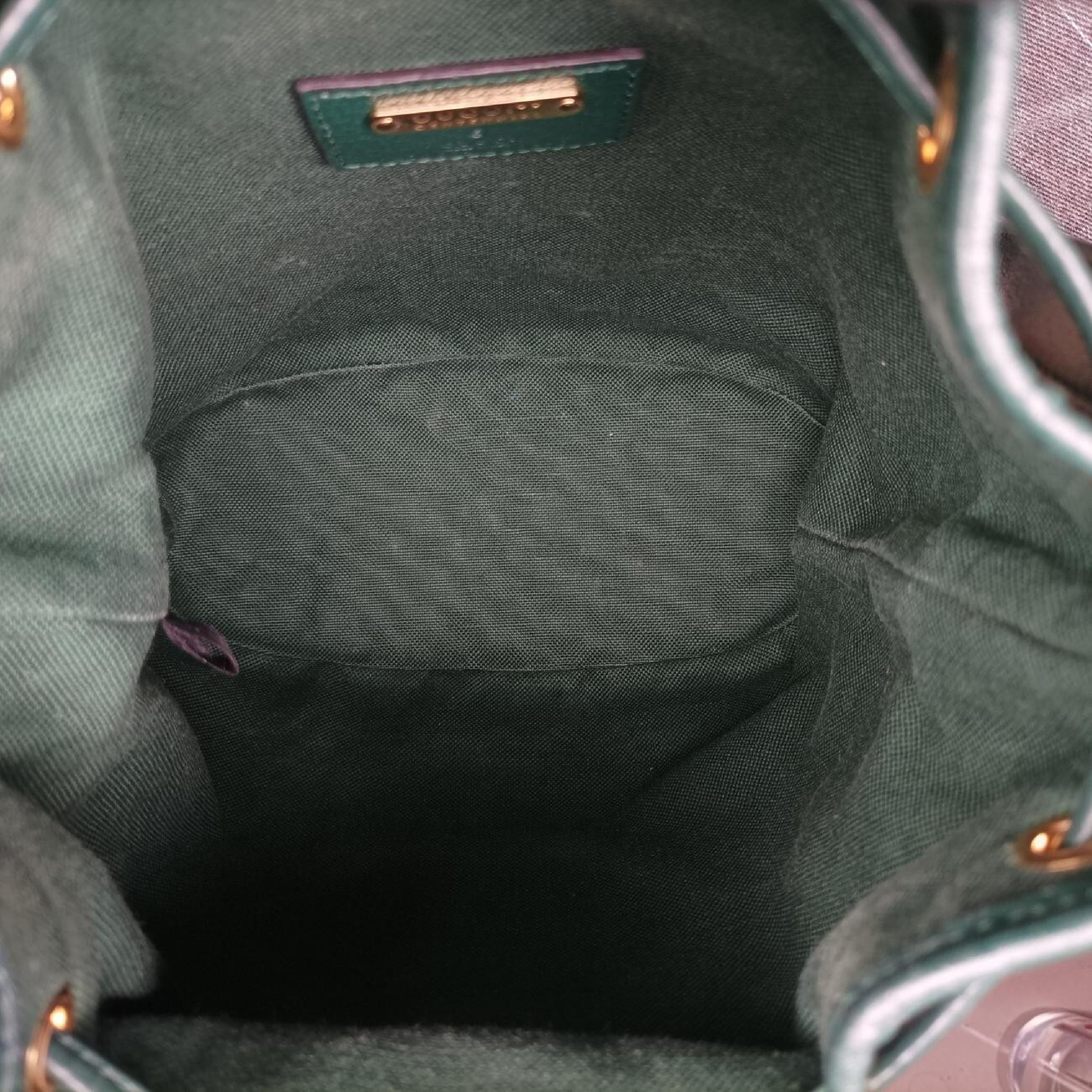 100th Anniversary Ophidia Mini Bucket Bag, Green x Multi, Canvas x Leather, 676682 I035885864, Shoulder Bag — view 6