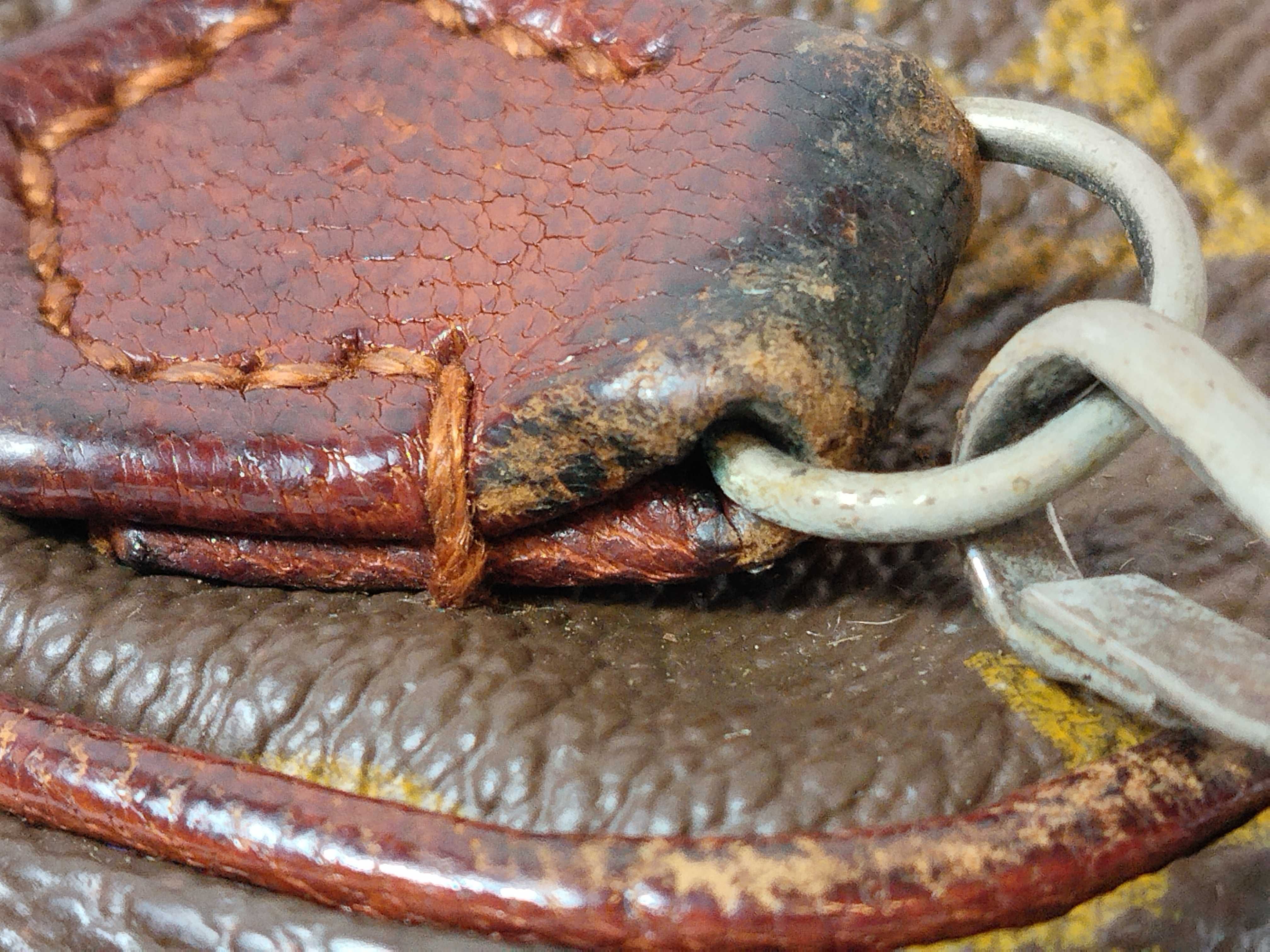 Monogram Old Danube Shoulder Bag — view 5
