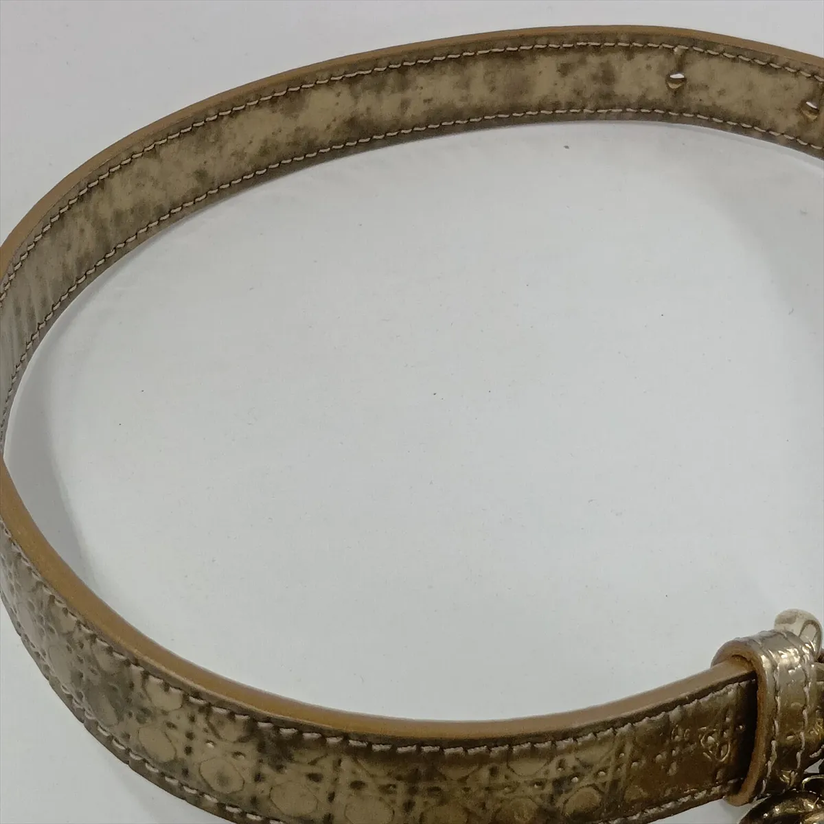 Diorama Leather Chain Shoulder Bag, Gold — view 15