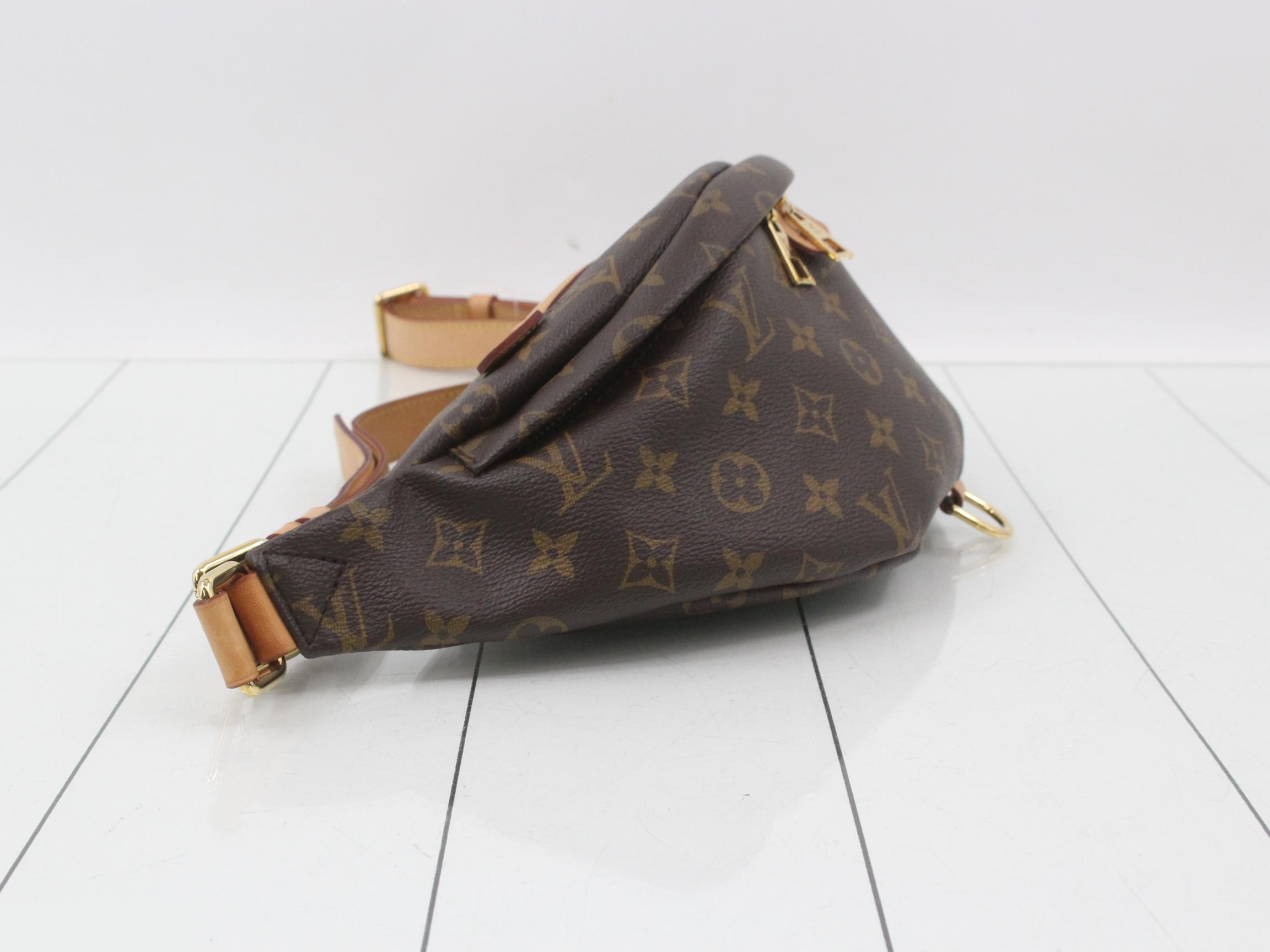 Monogram Bum Bag Waist Bag — view 4