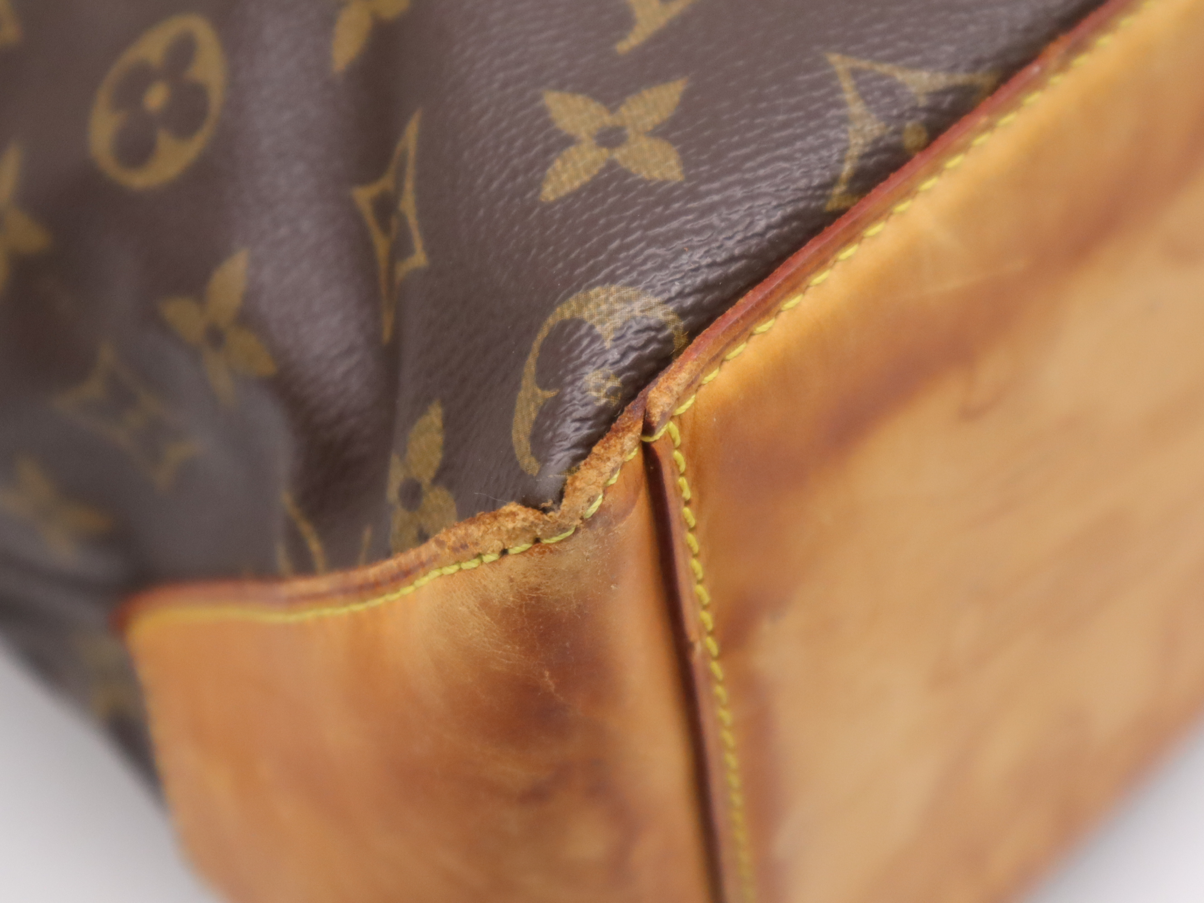 M51151 Monogram Hippo Mezzo Tote Bag — view 11