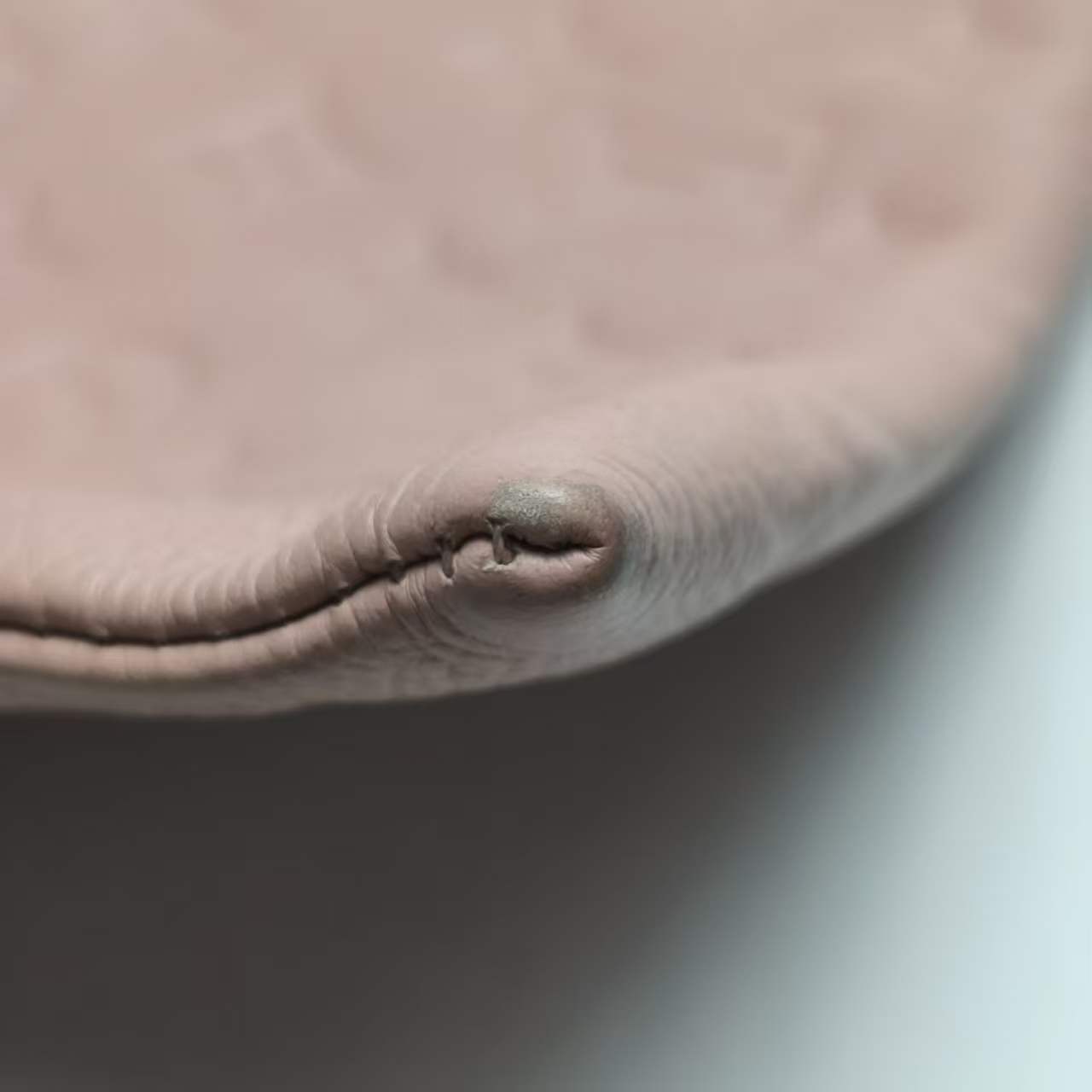 【*Shipped from: China*】LOUIS VUITTON Leather Clutch Bag Second Bag — view 11