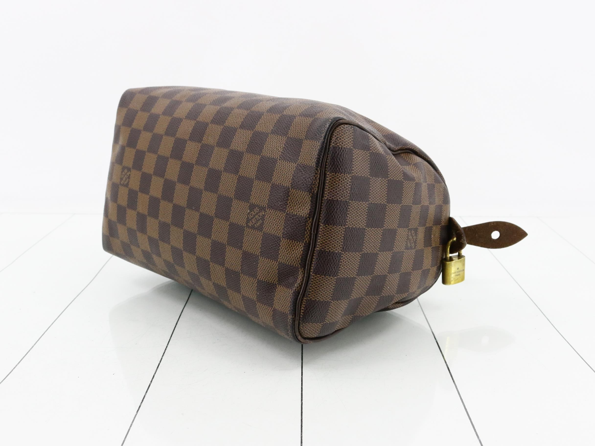 Speedy 25 Damier Handbag — view 6