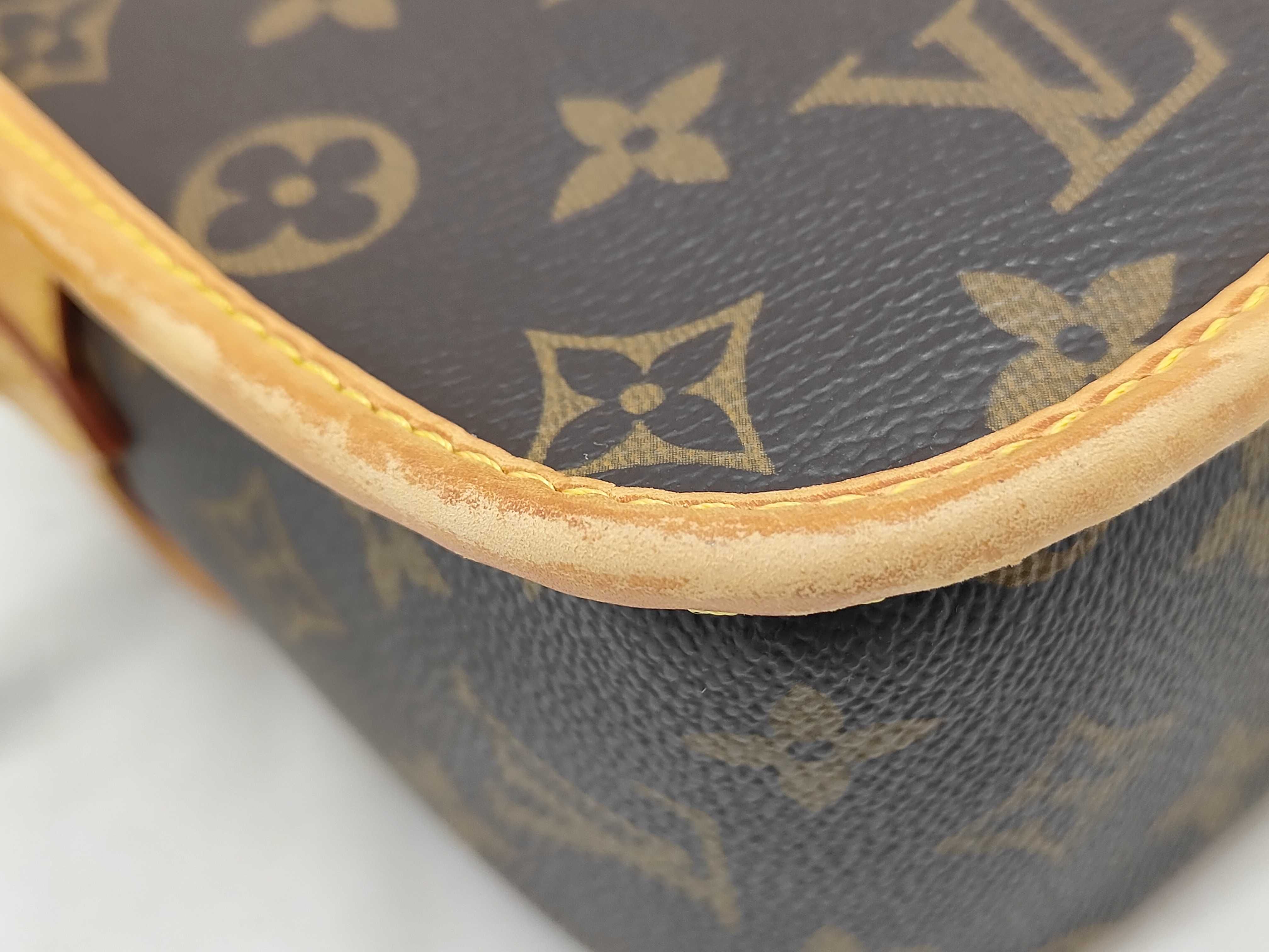 Sologne Monogram M42250 Shoulder Bag — view 4