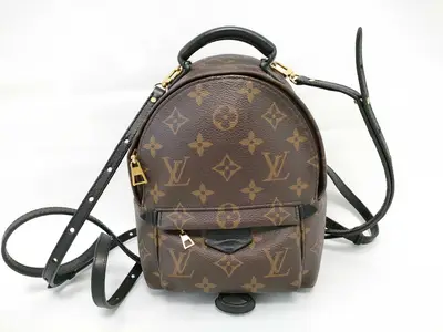 Monogram Palm Springs Mini Backpack