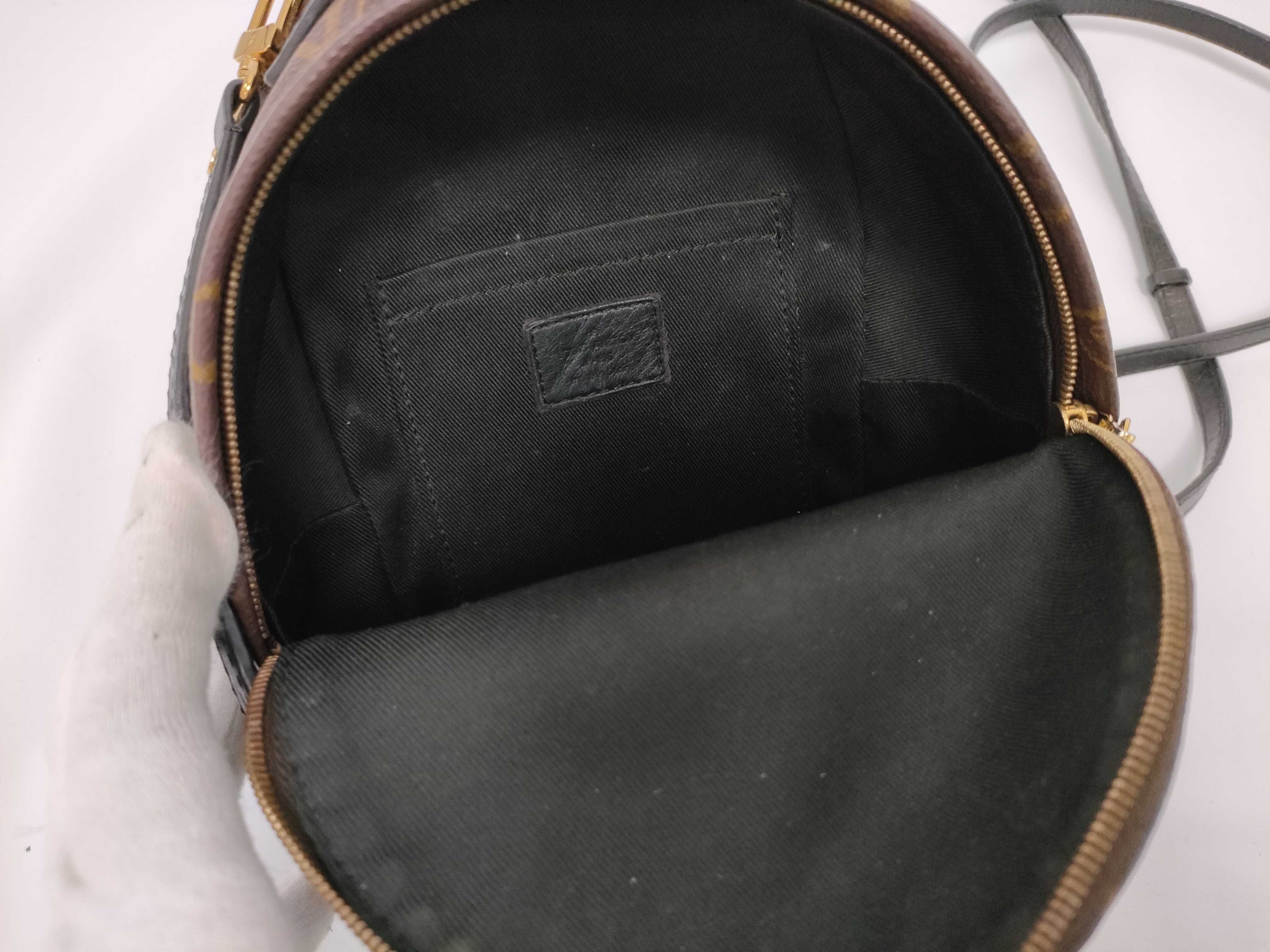 Monogram Palm Springs Mini Backpack — view 12