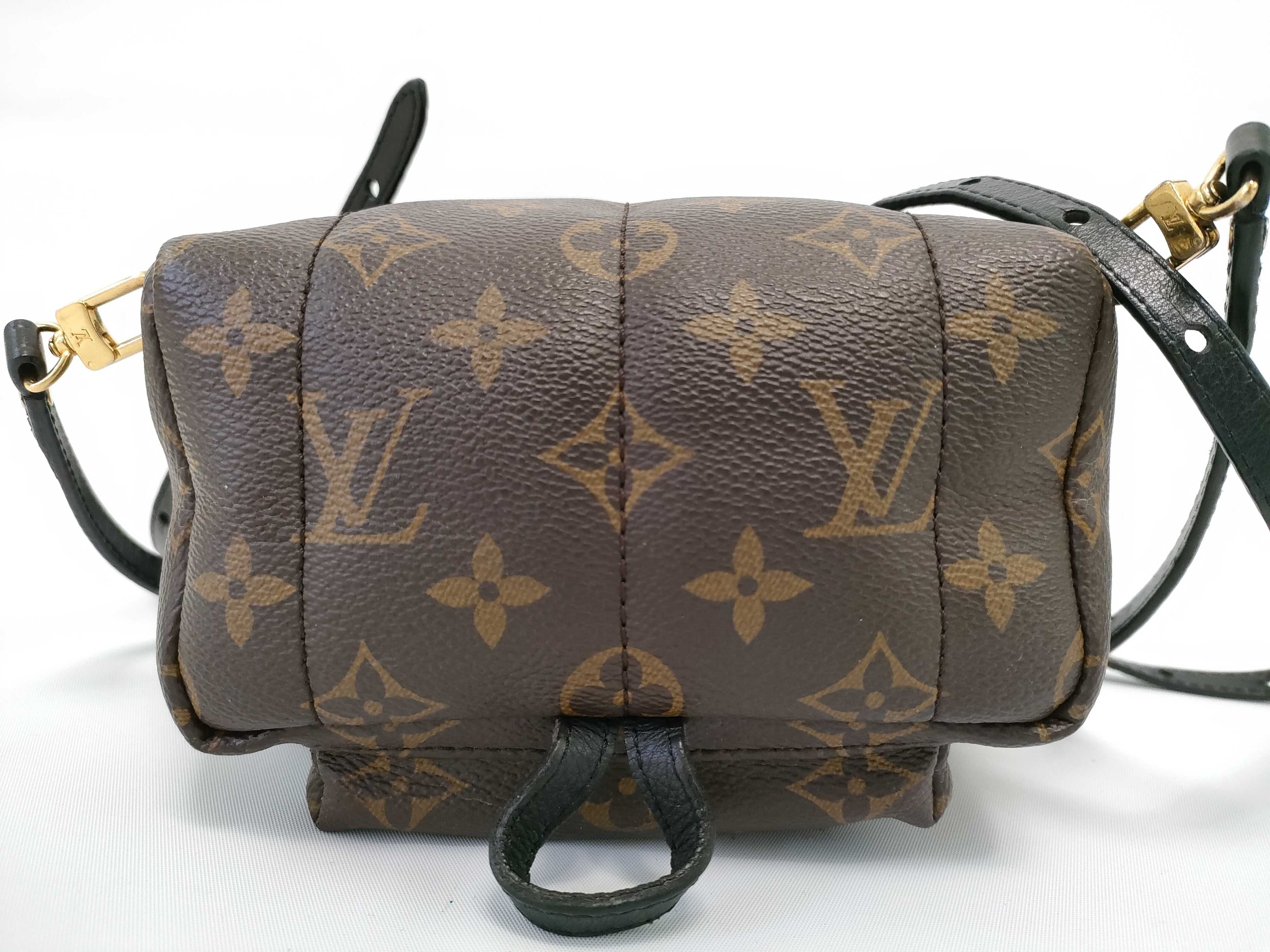 Monogram Palm Springs Mini Backpack — view 3