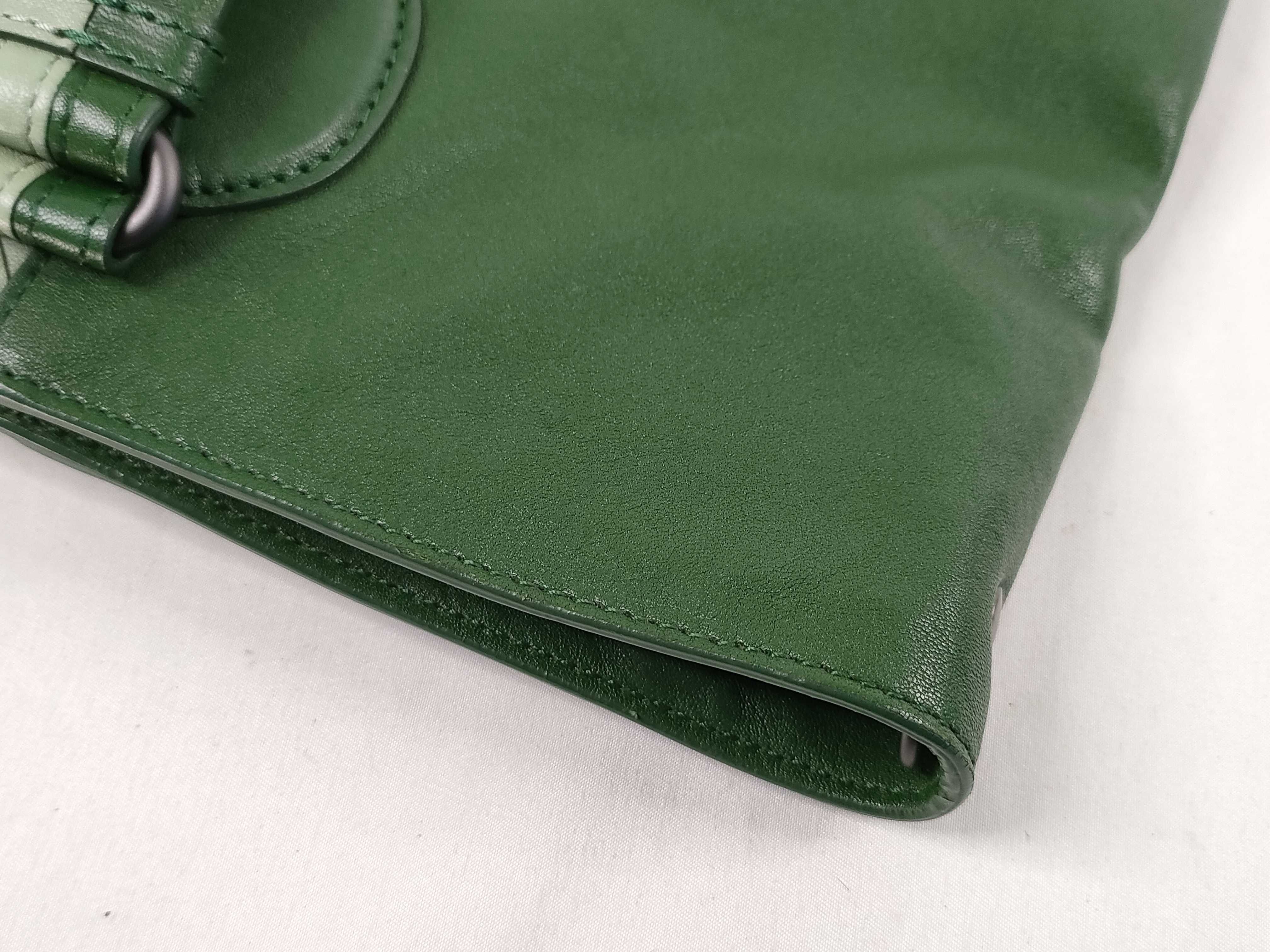 Intrecciato Green 2-Way Bag (Handbag) Accessories: Dust bag — view 15