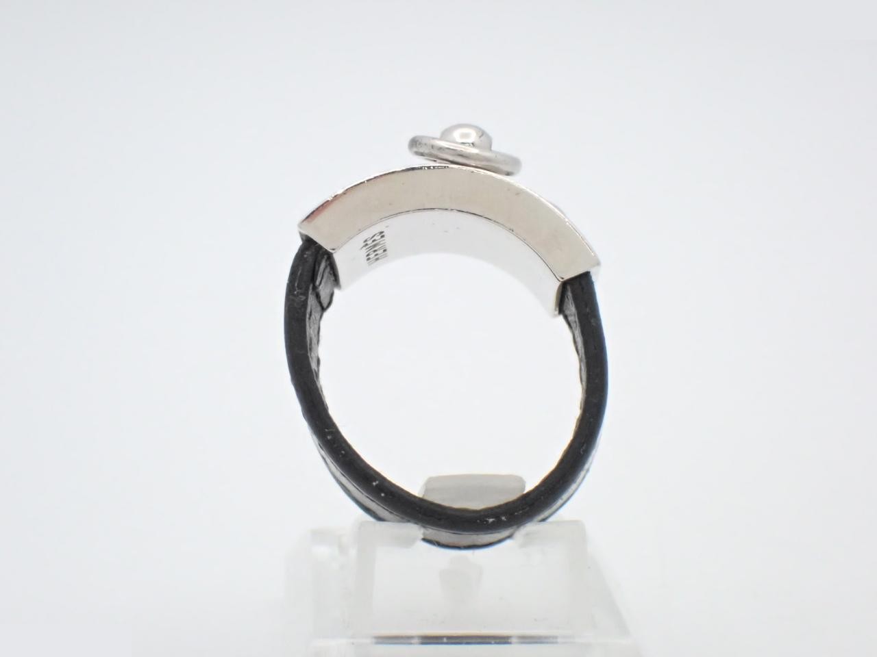 Ring #18 — view 3