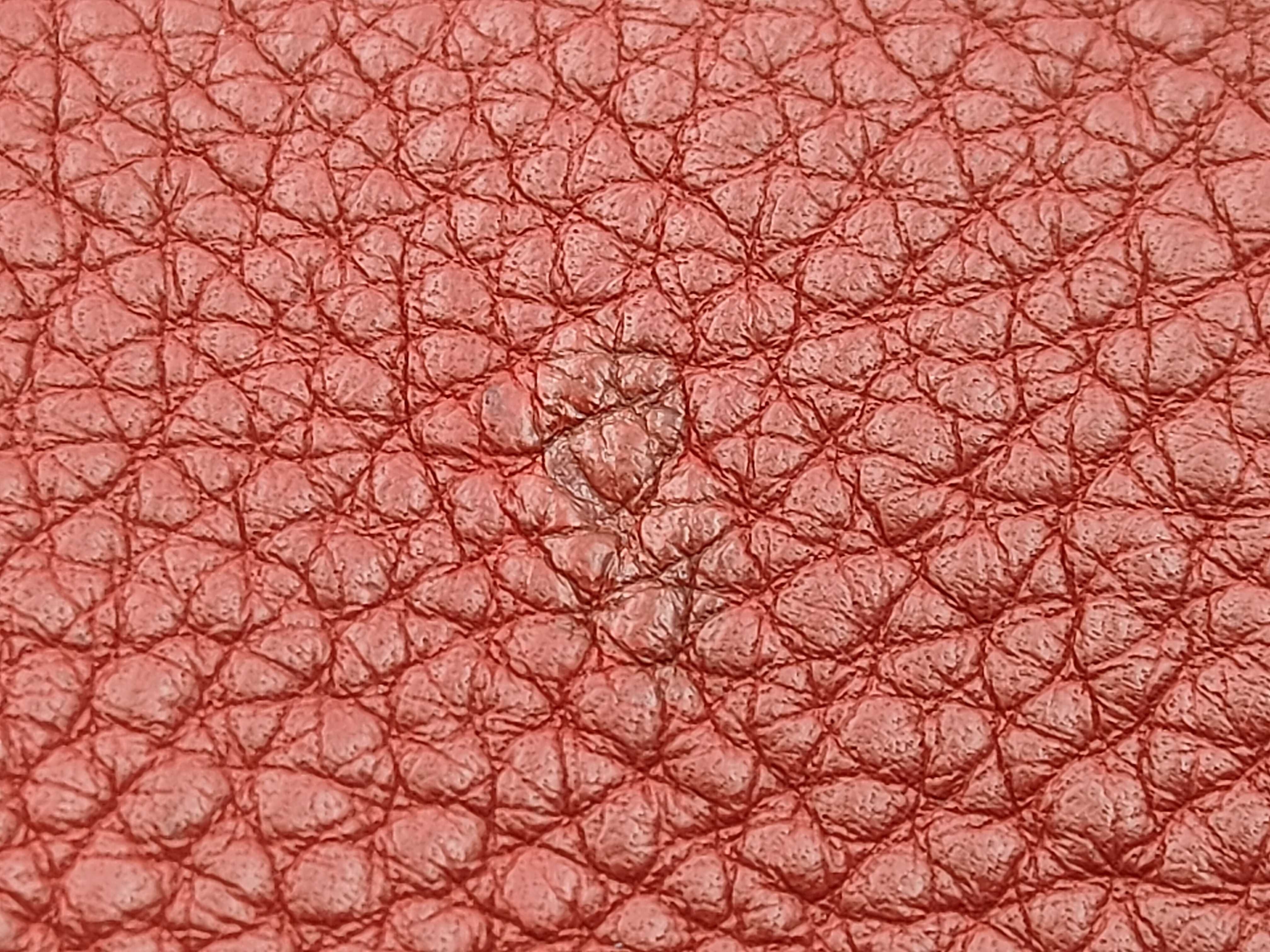 Picotin Lock L Red Handbag — view 14