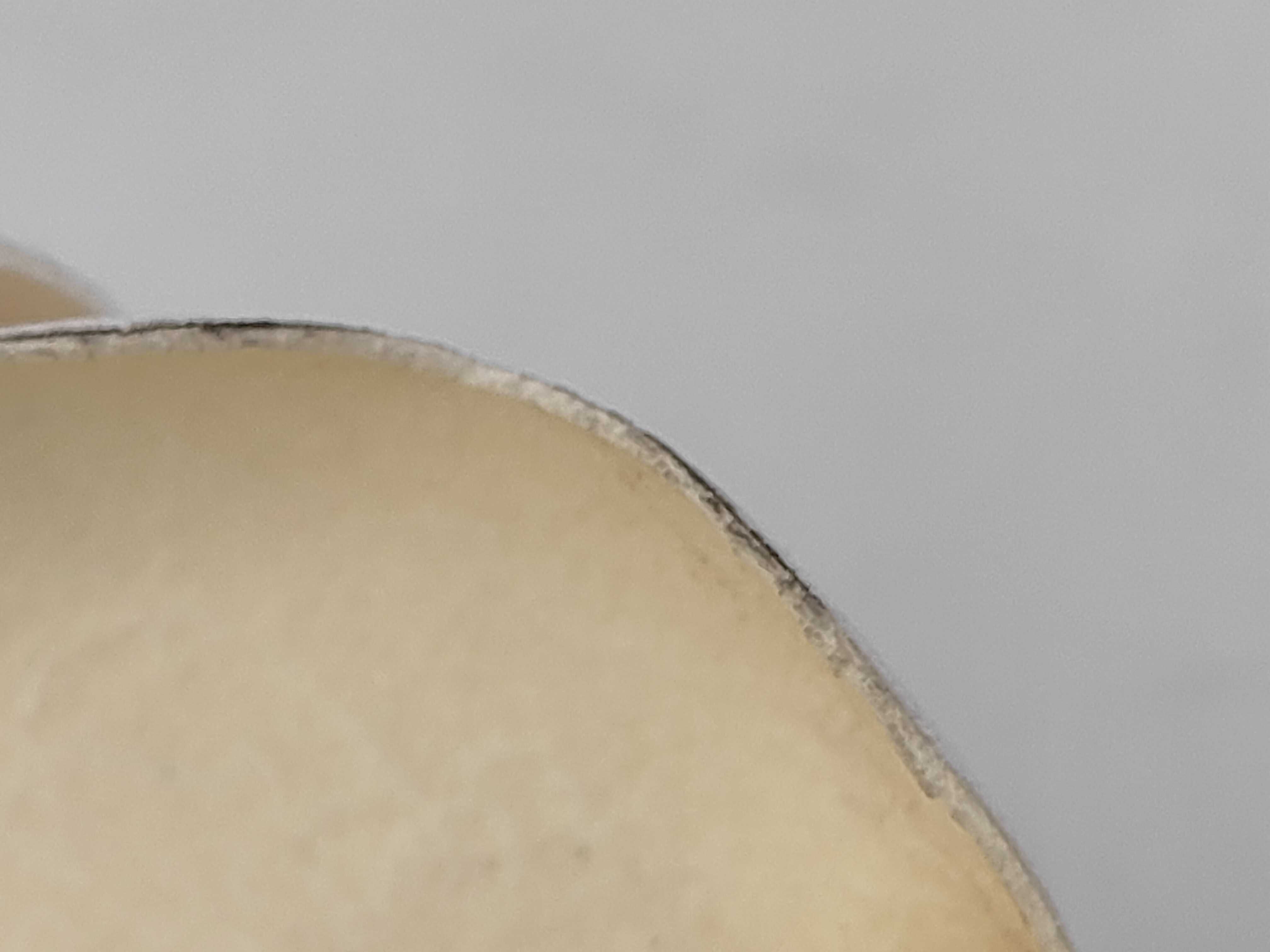Camellia White Brooch — view 5