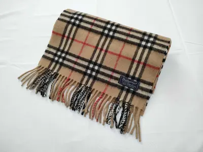 Scarf and other accessories