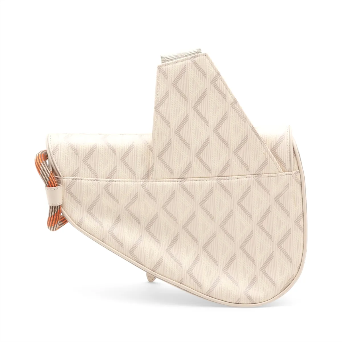 Saddle PVC x Leather Body Bag, Beige — view 2