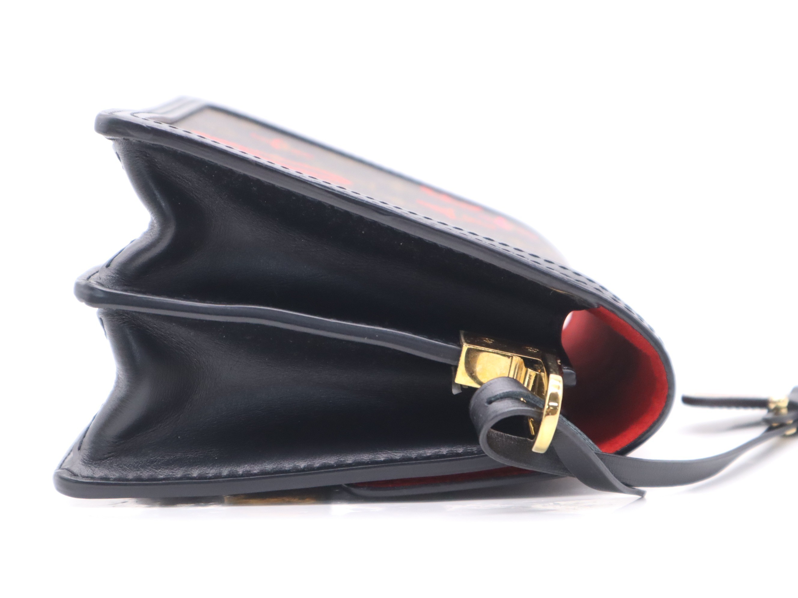Monogram Dauphine MINI Fall in Love with shoulder strap — view 5