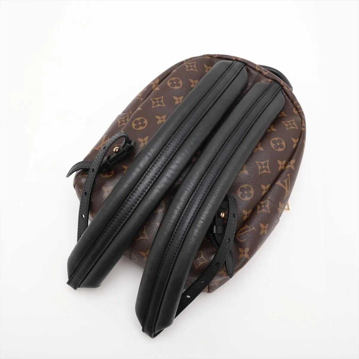 Monogram Palm Springs Backpack PM M41560 FL1176 Brown — view 5