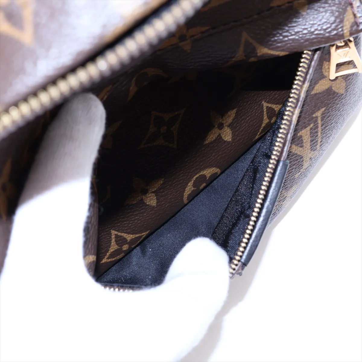 Monogram Palm Springs Backpack PM M41560 FL1176 Brown — view 9