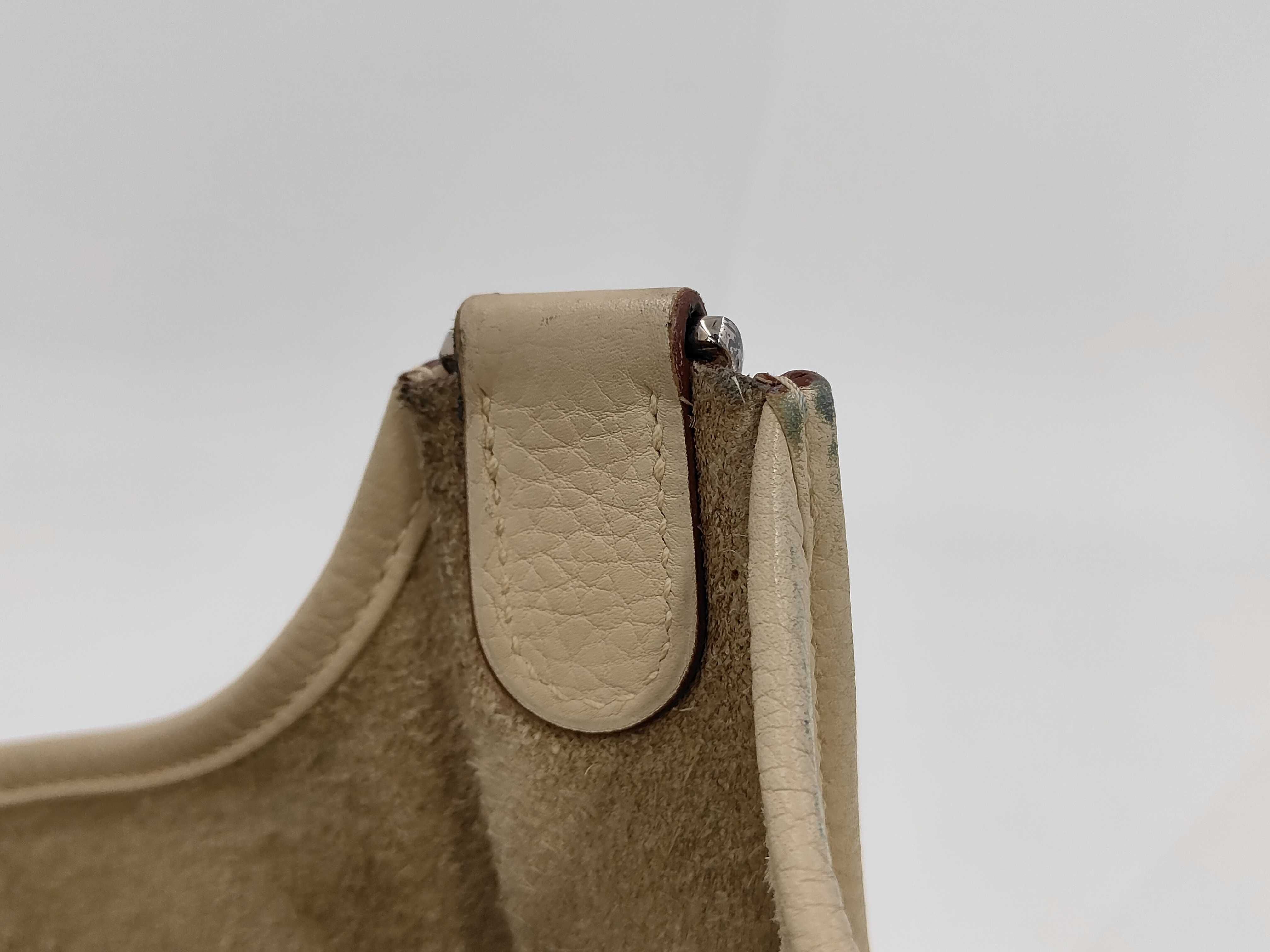 Evelyne III PM ?L Taurillon Shoulder Bag — view 12