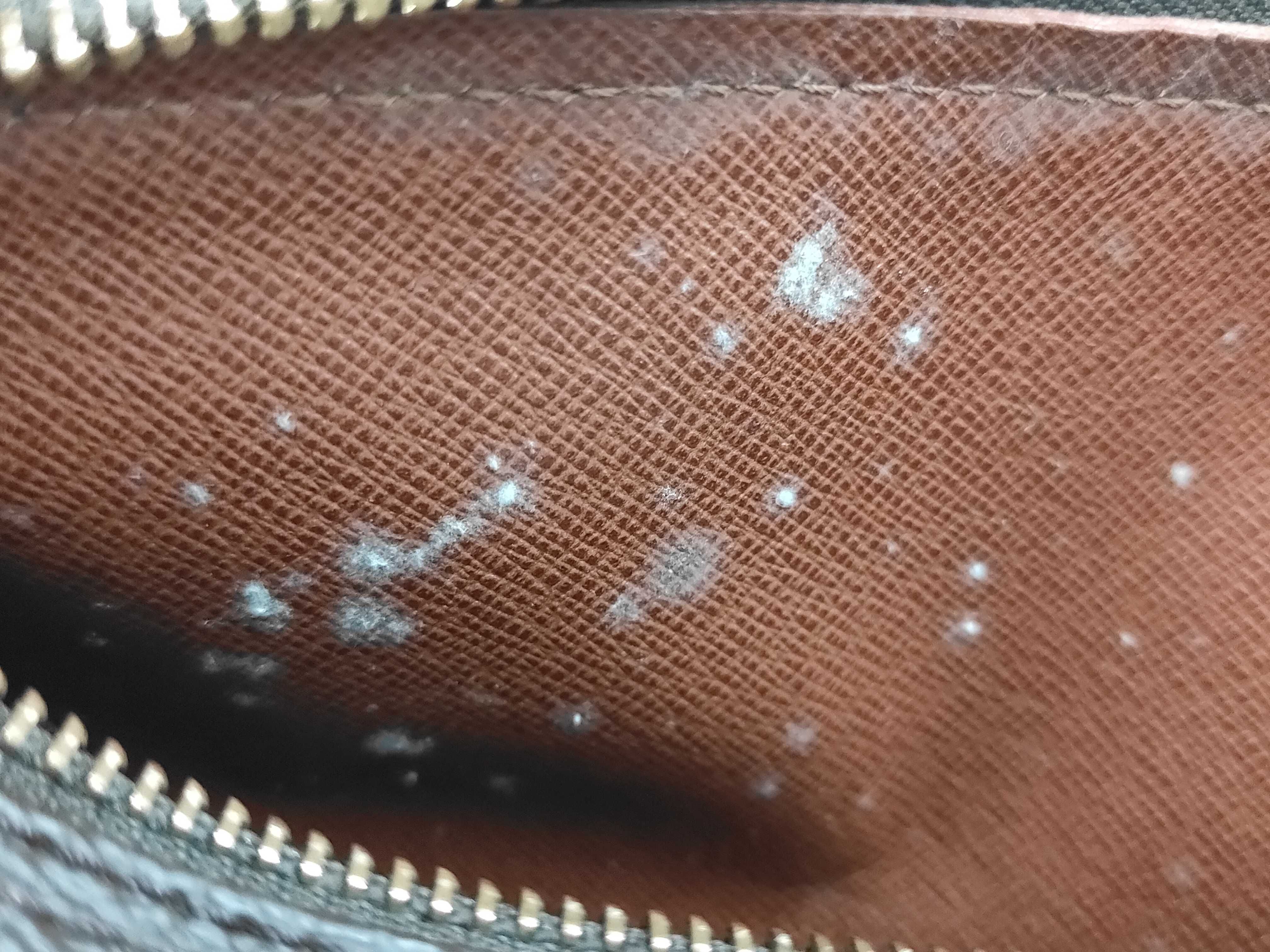 Monogram M51386 Papillon 26 (Old Model) Handbag — view 10