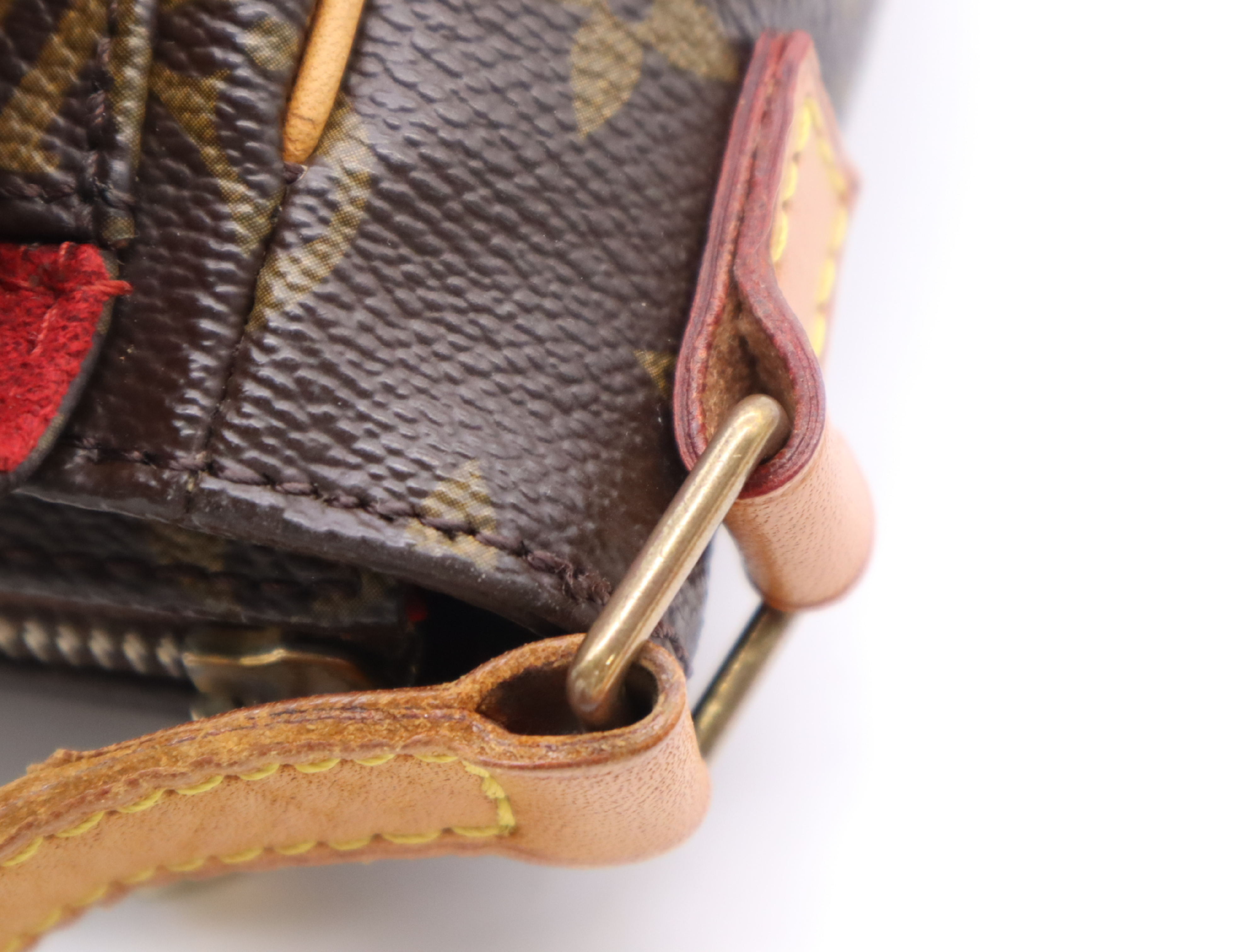 M51165 Monogram Viva Cite PM Shoulder Bag — view 9