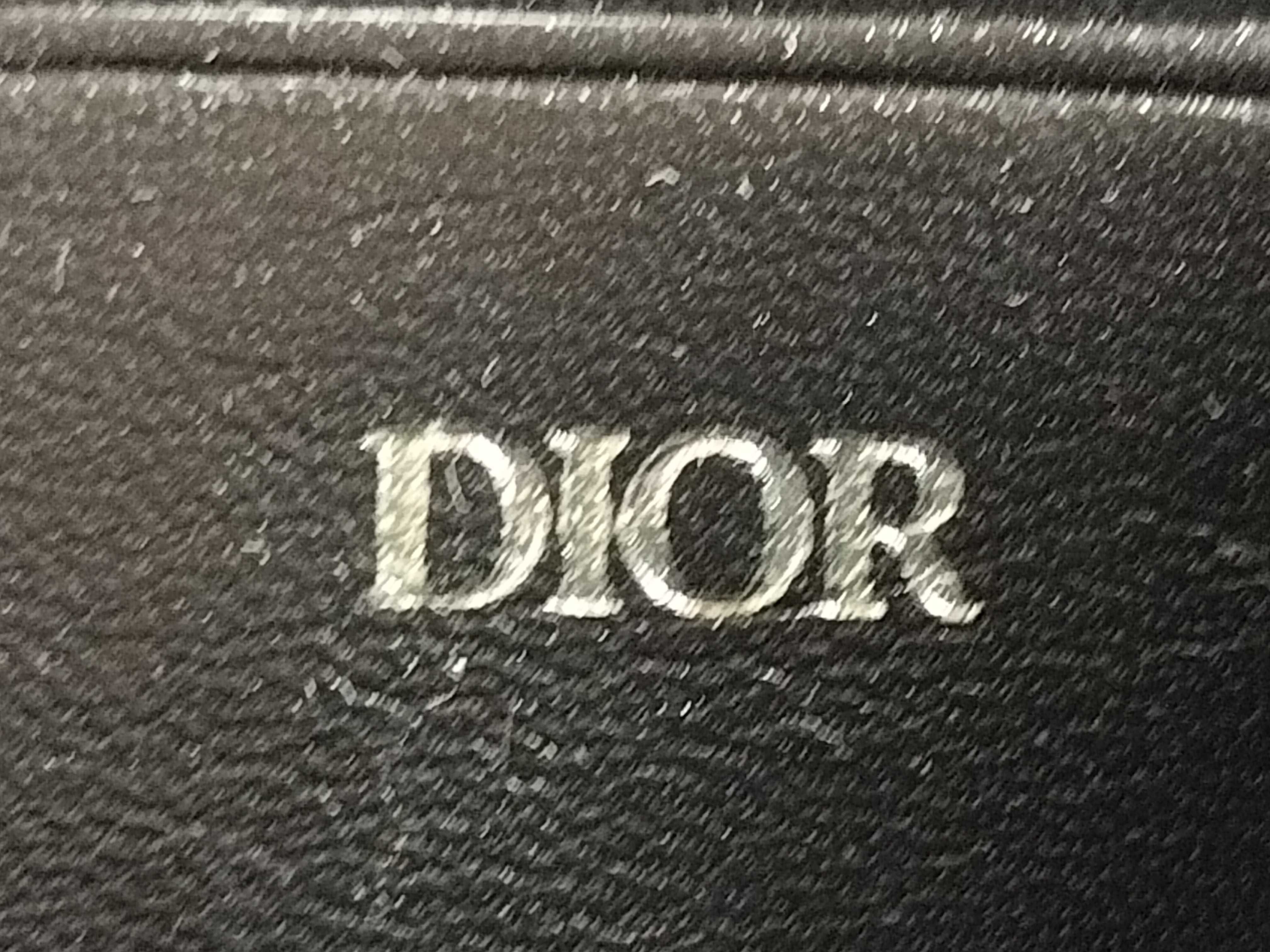 Trotter Christian Dior Oblique Jacquard Shoulder Bag, Gray x Black — view 12