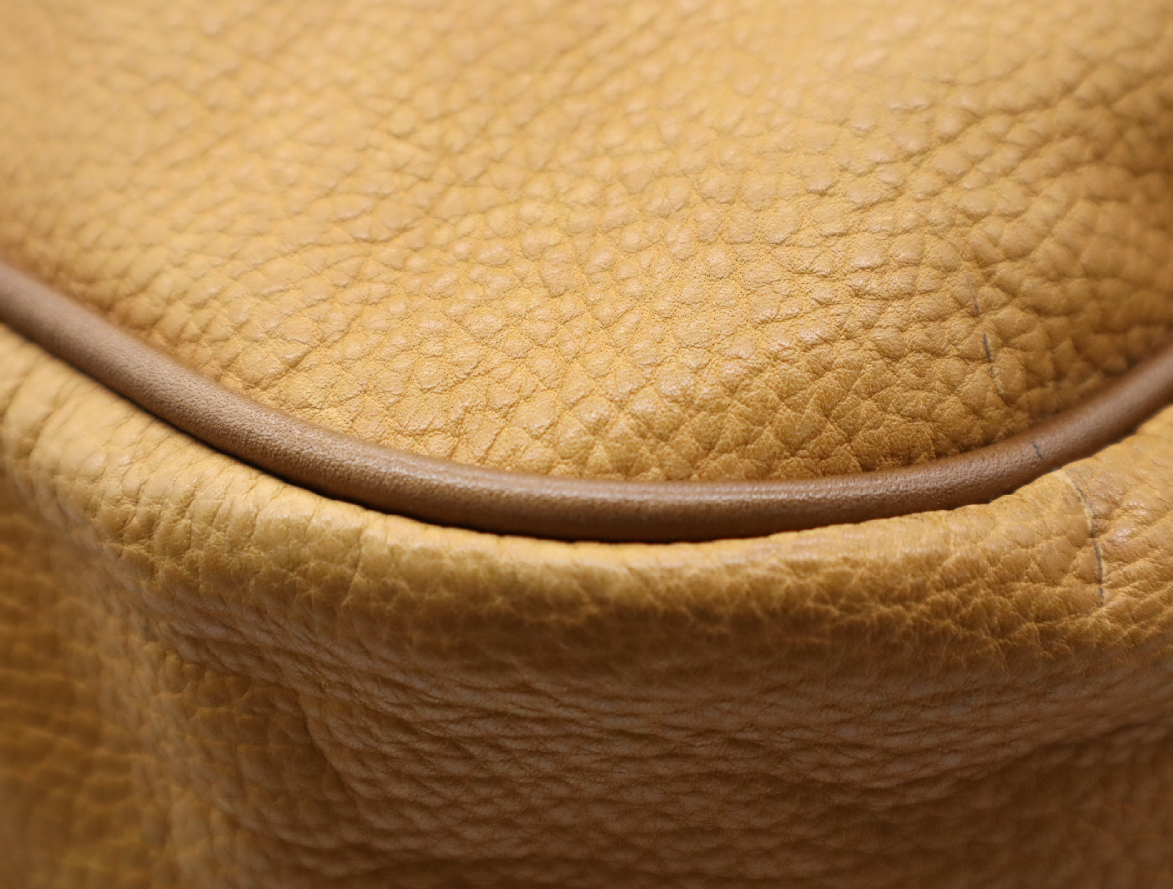 Leather Amazona Boston Bag, Brown, Gold Hardware — view 8