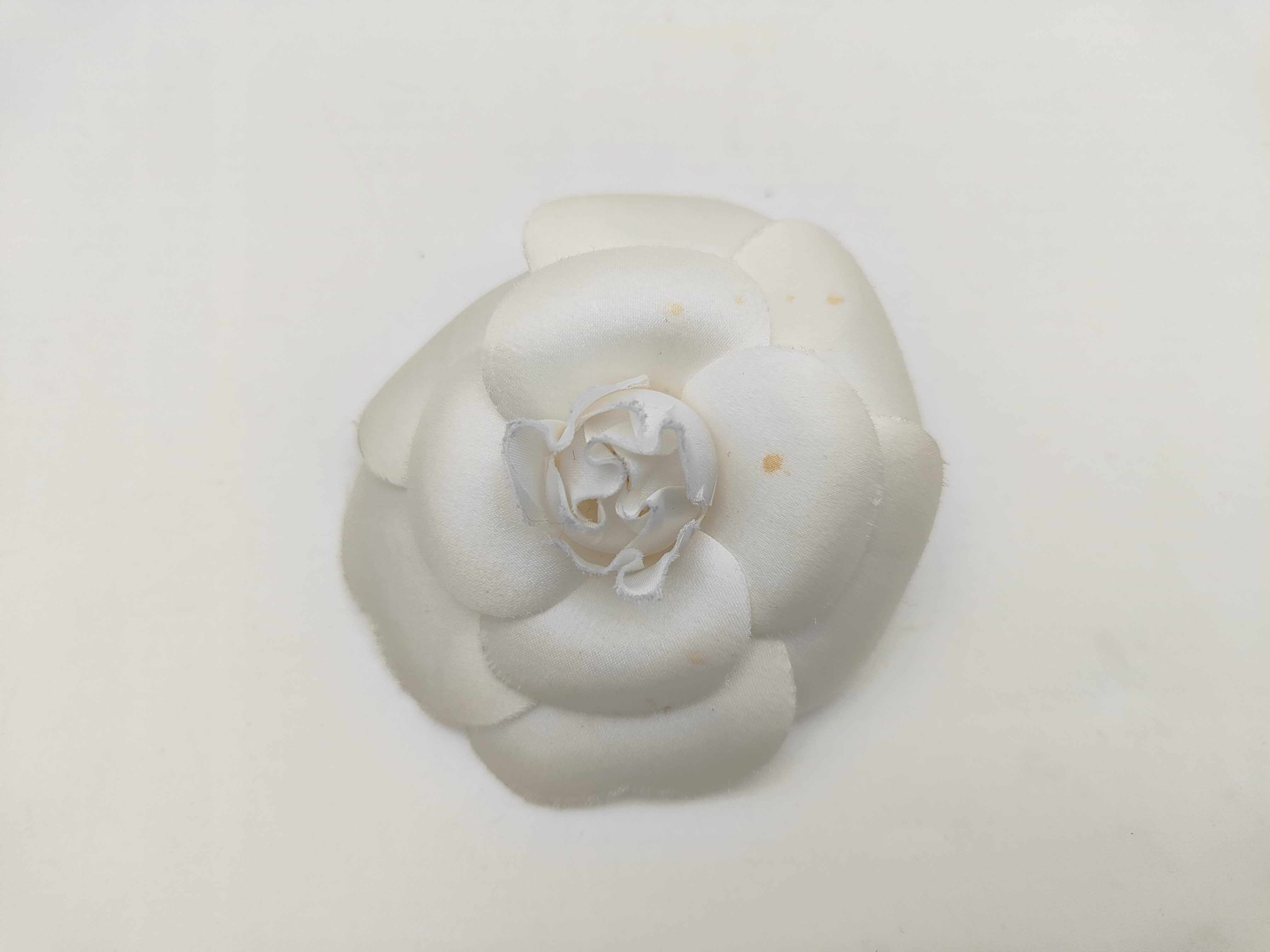 Brooch / GP Brooch