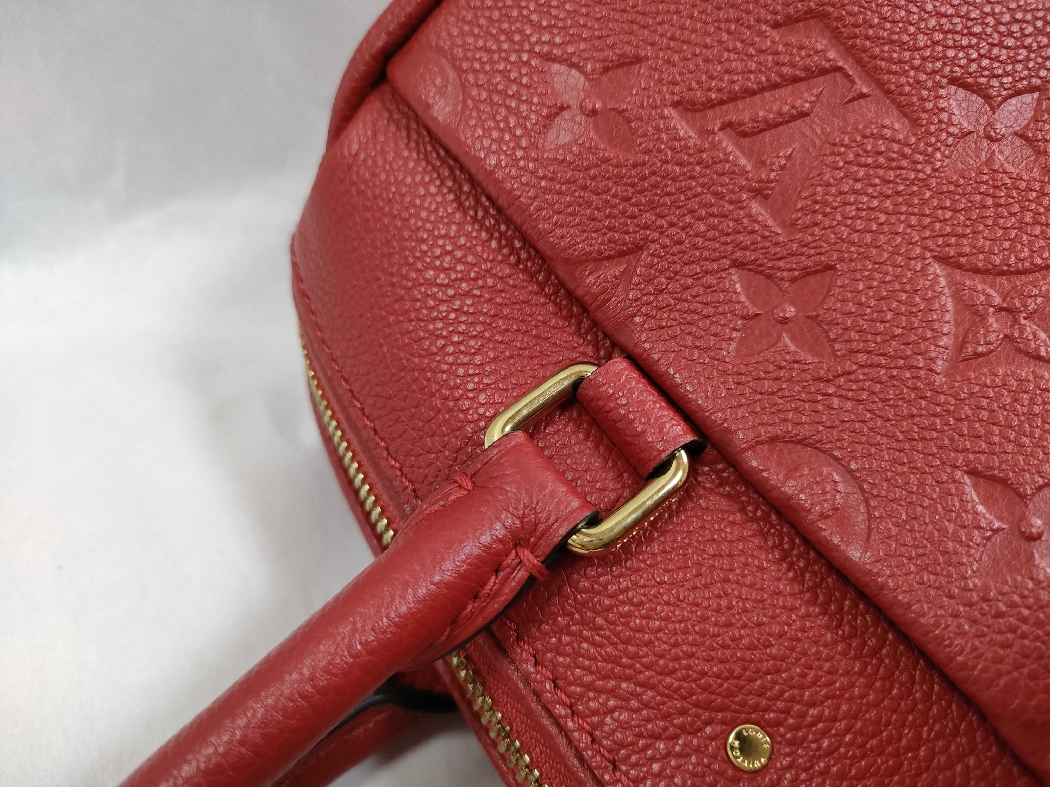 M42399 DV2177 Speedy Handbag — view 5