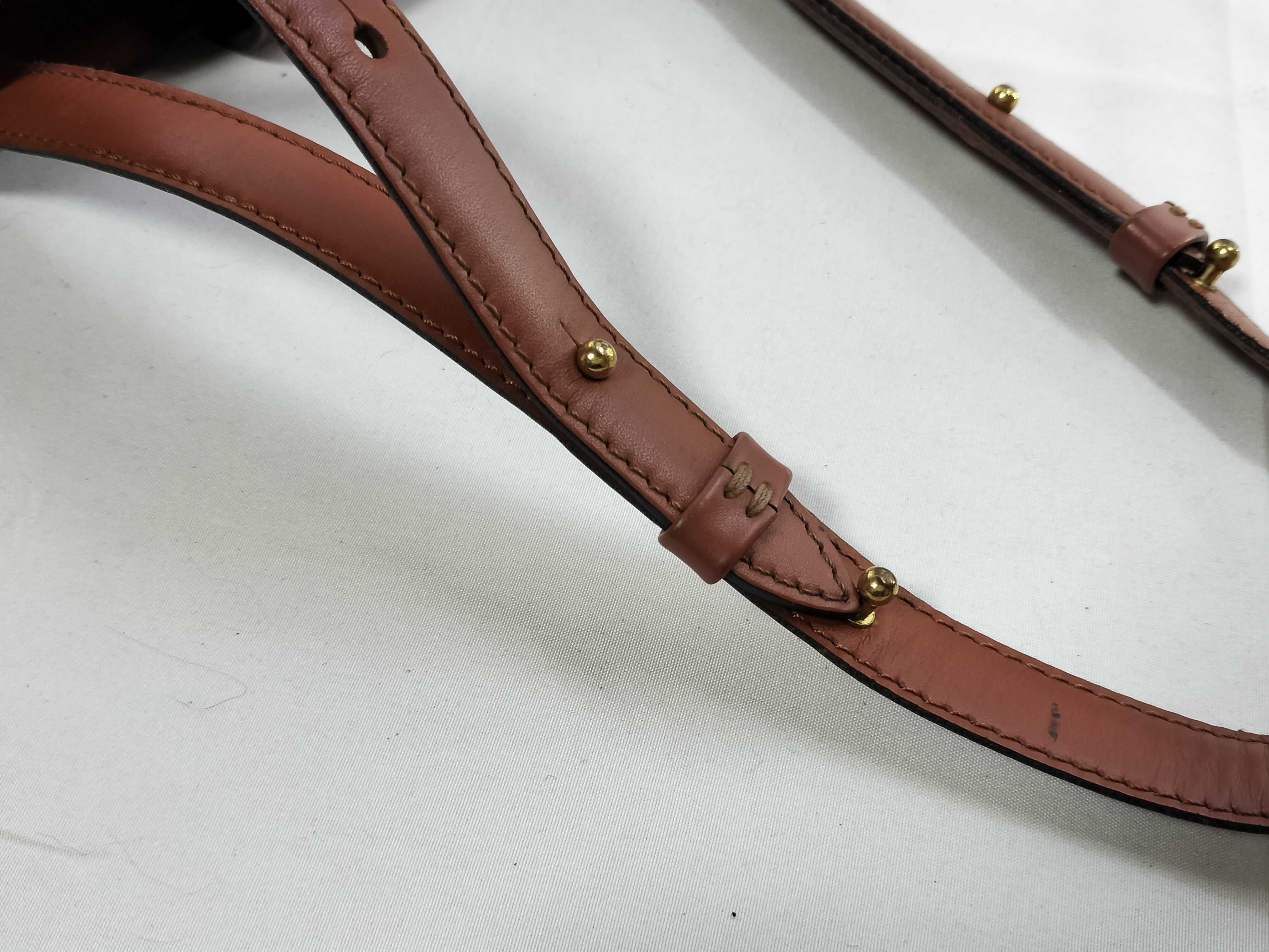 Epi M52253 Epi Cluny Shoulder Bag — view 4