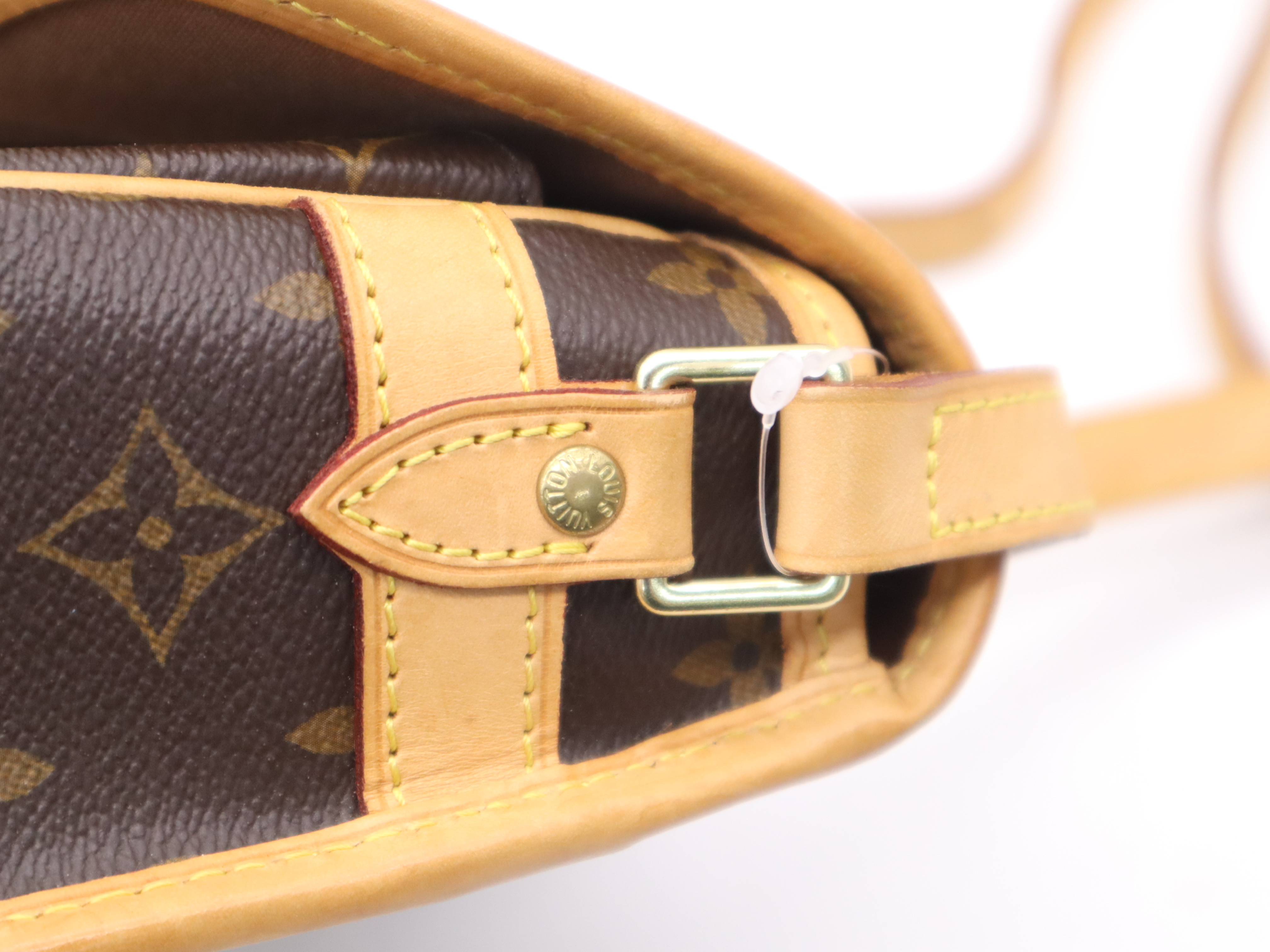 M42250 Monogram Sologne Shoulder Bag — view 8
