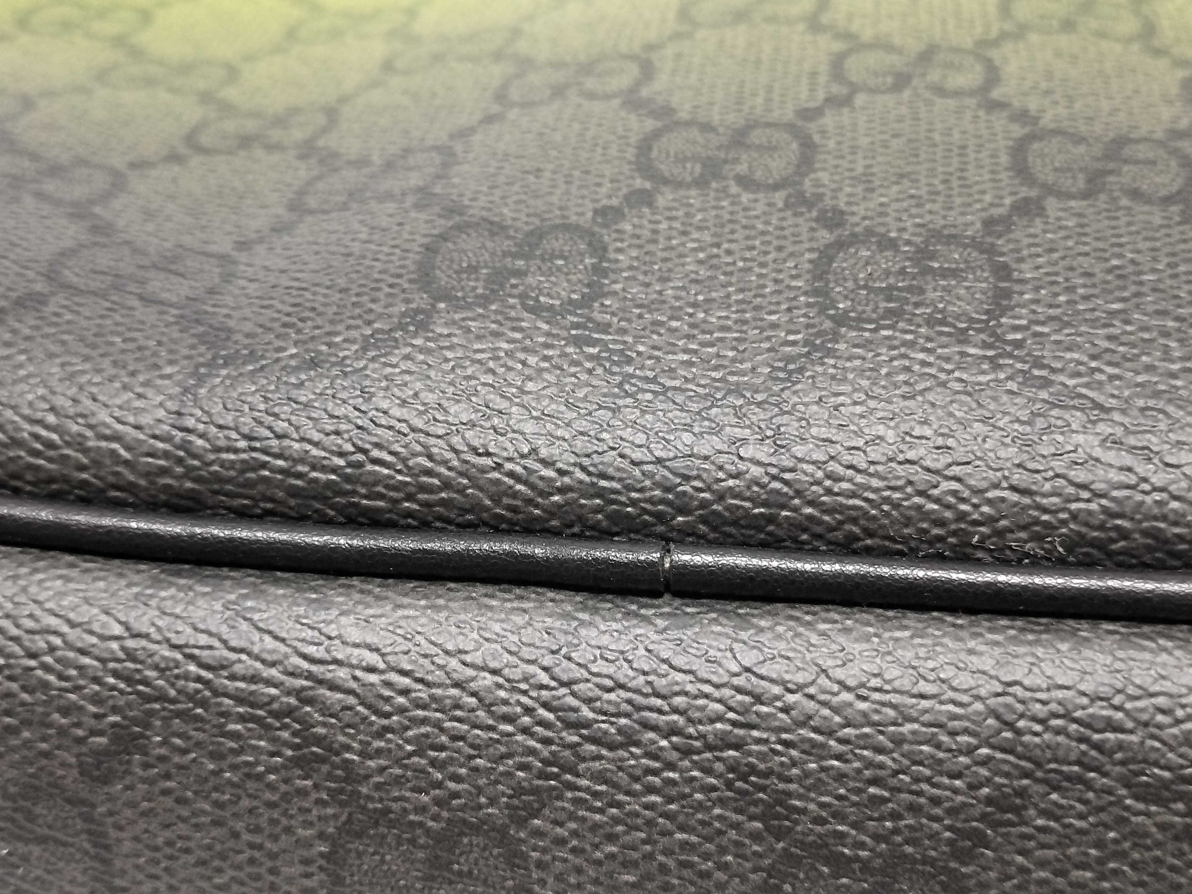 GG Plus Gucci GG Canvas Camera Shoulder Bag — view 11