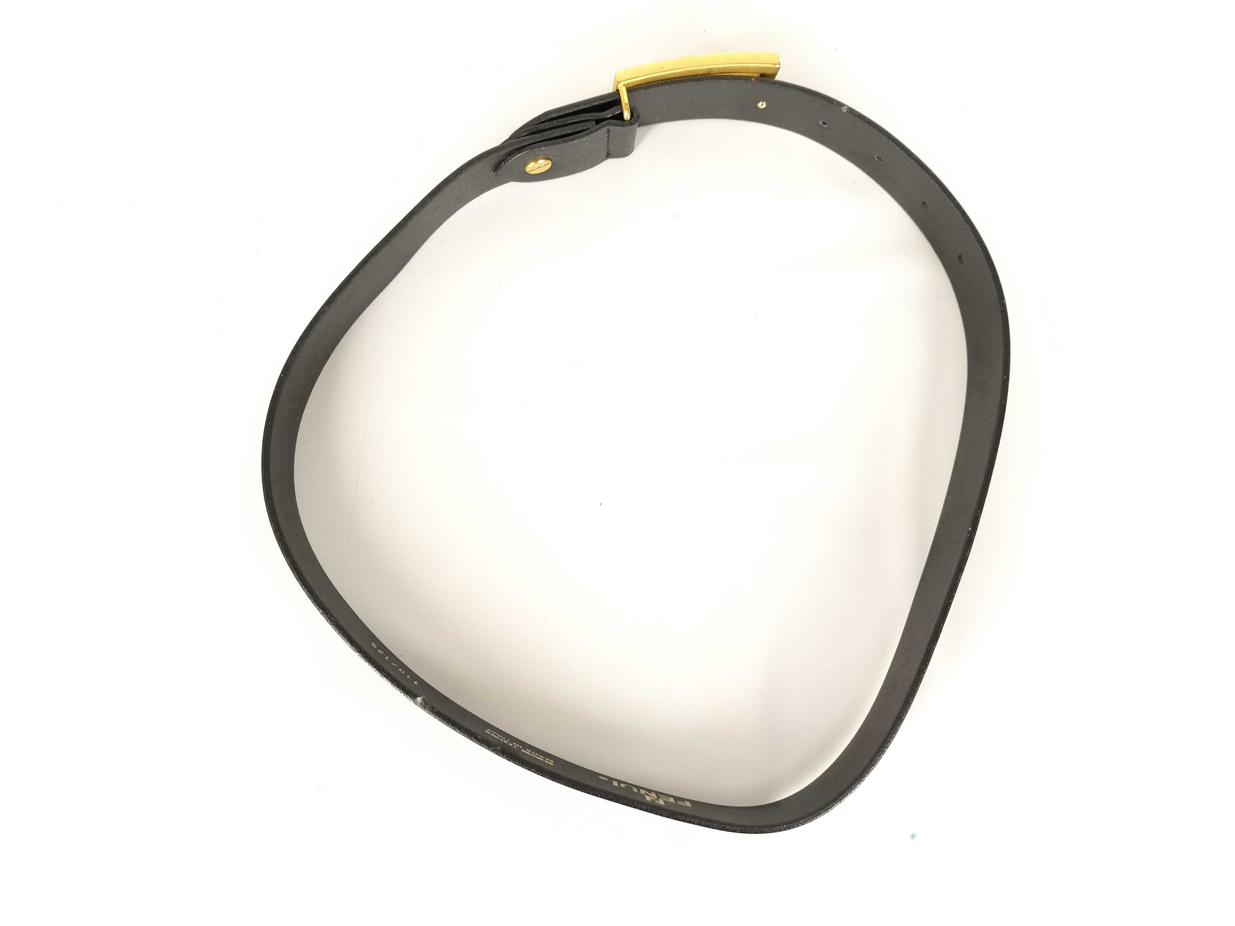 belt — view 2