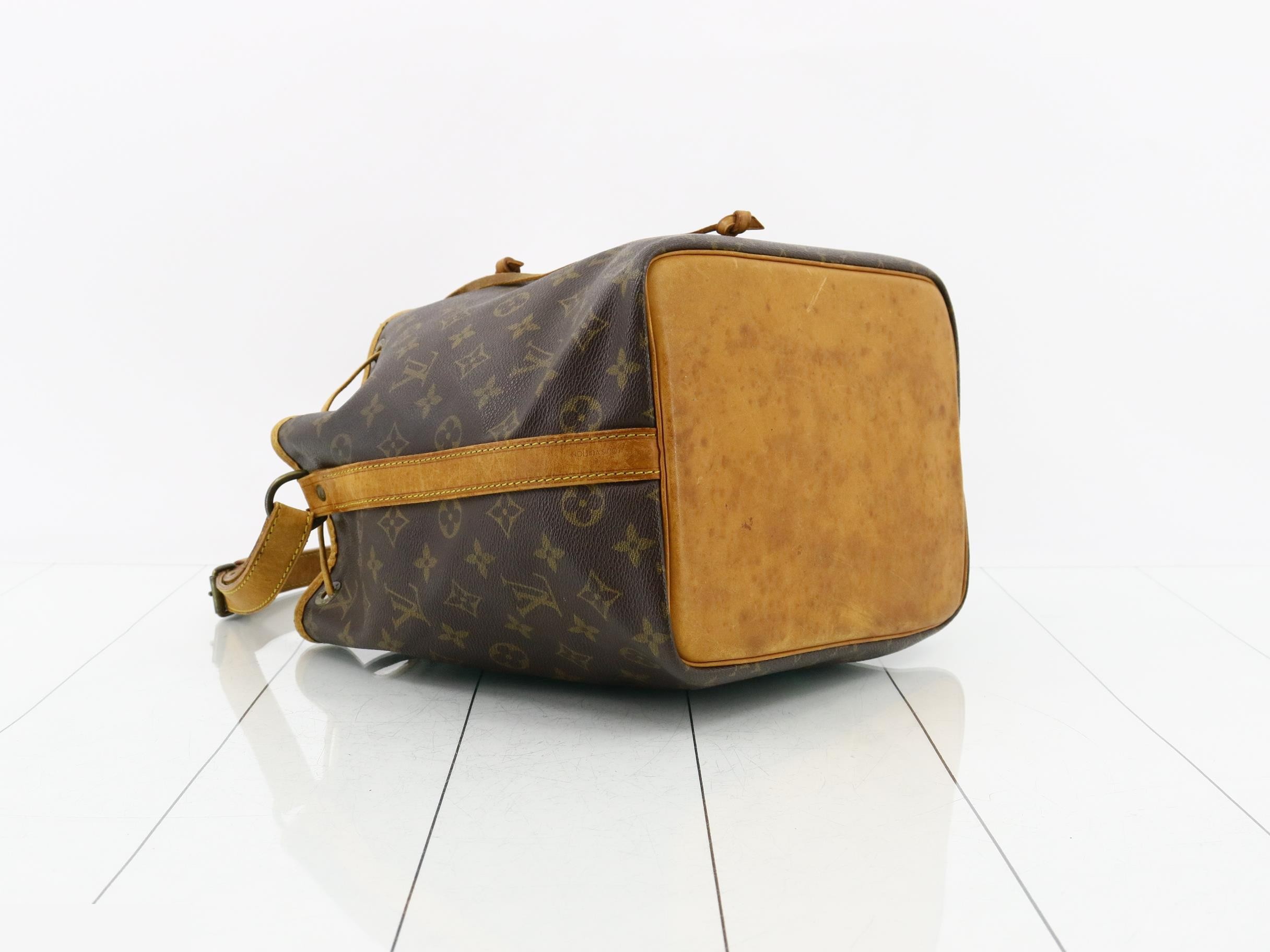 Petit Noé (old model) — view 5