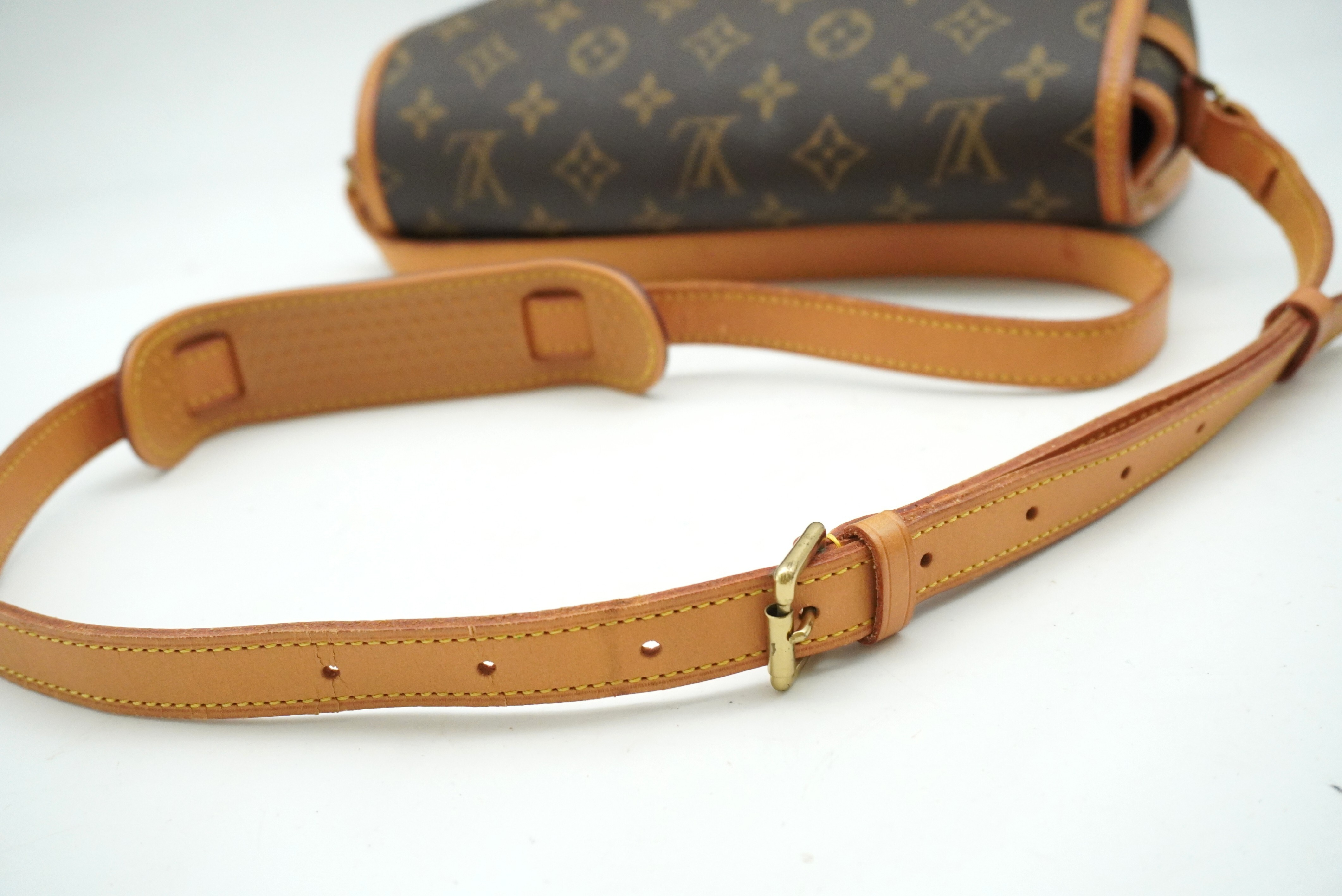 Monogram Sologne M42250 Shoulder Bag — view 6